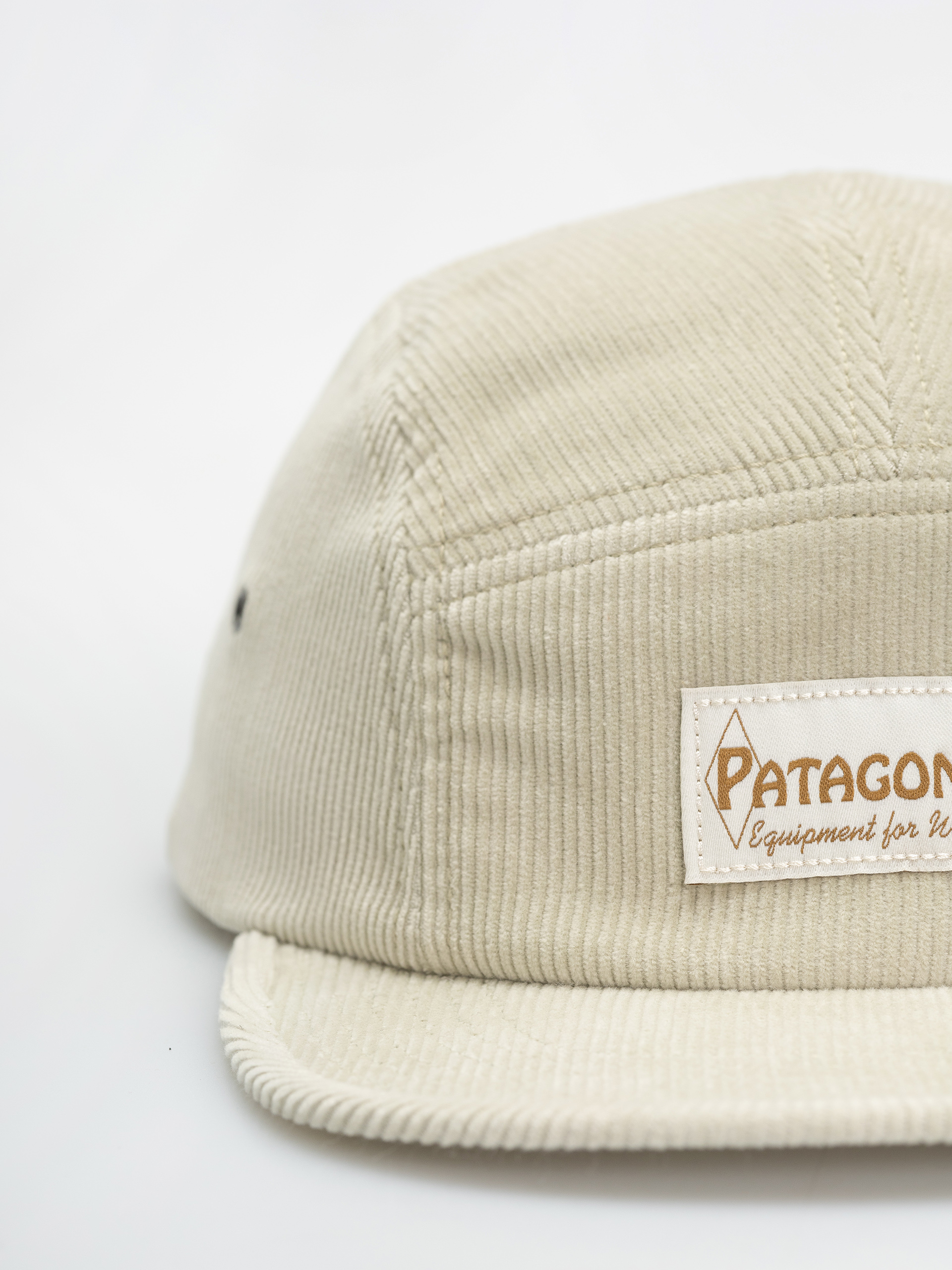 Kšiltovka  Patagonia Graphic Maclure (water people label/pelican)