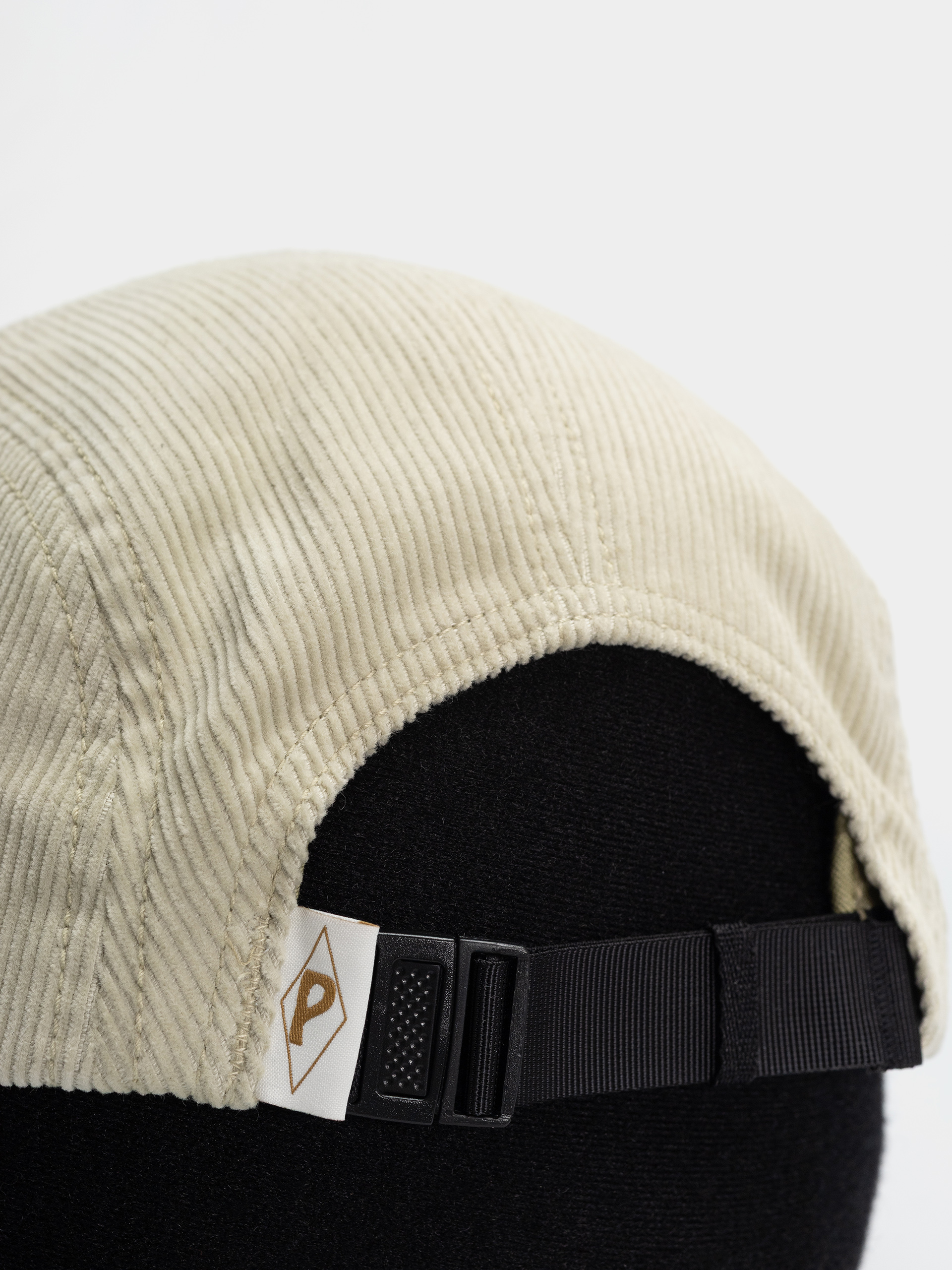 Kšiltovka  Patagonia Graphic Maclure (water people label/pelican)