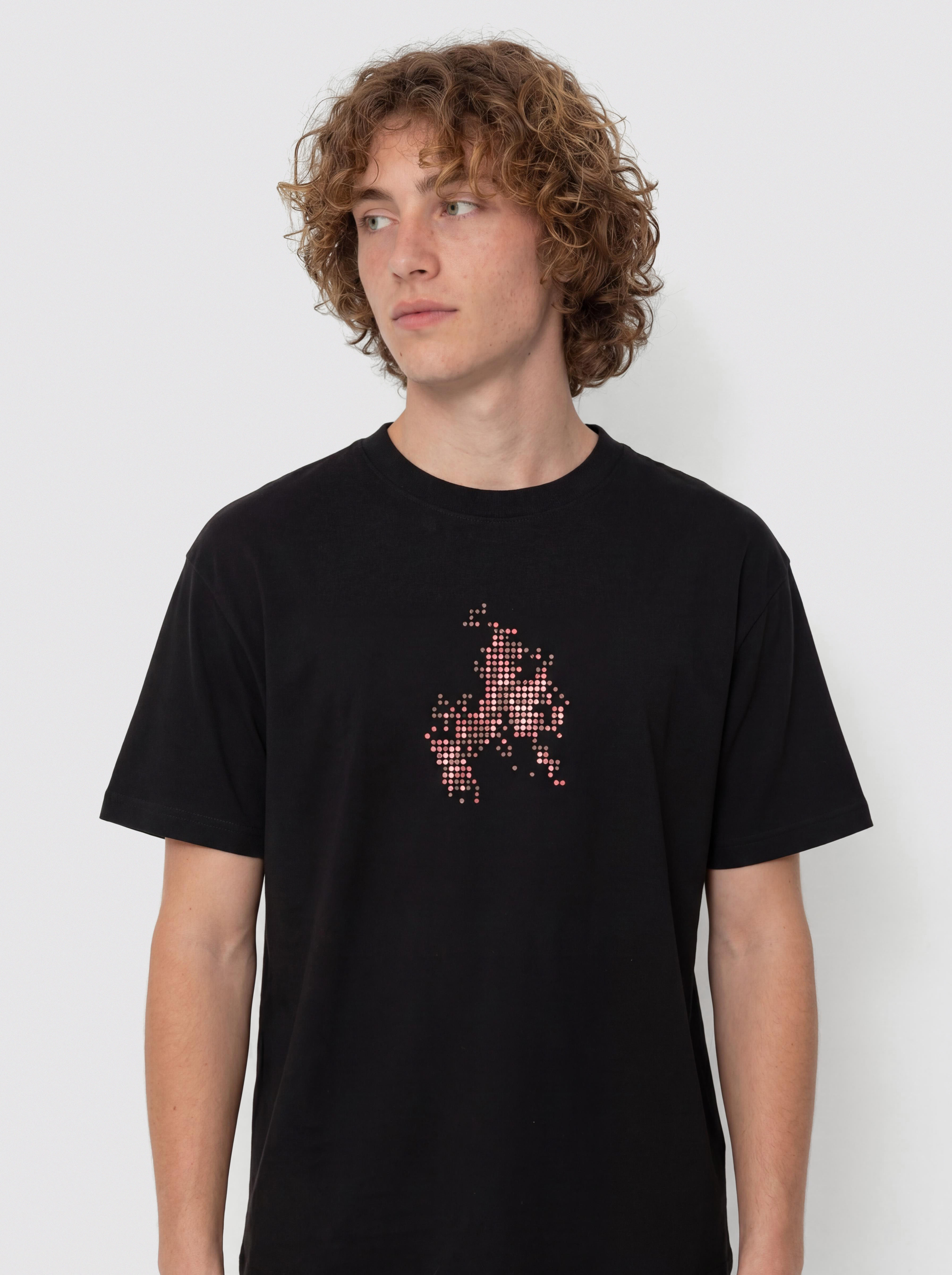 Tričko Vans Skate Flame (black)