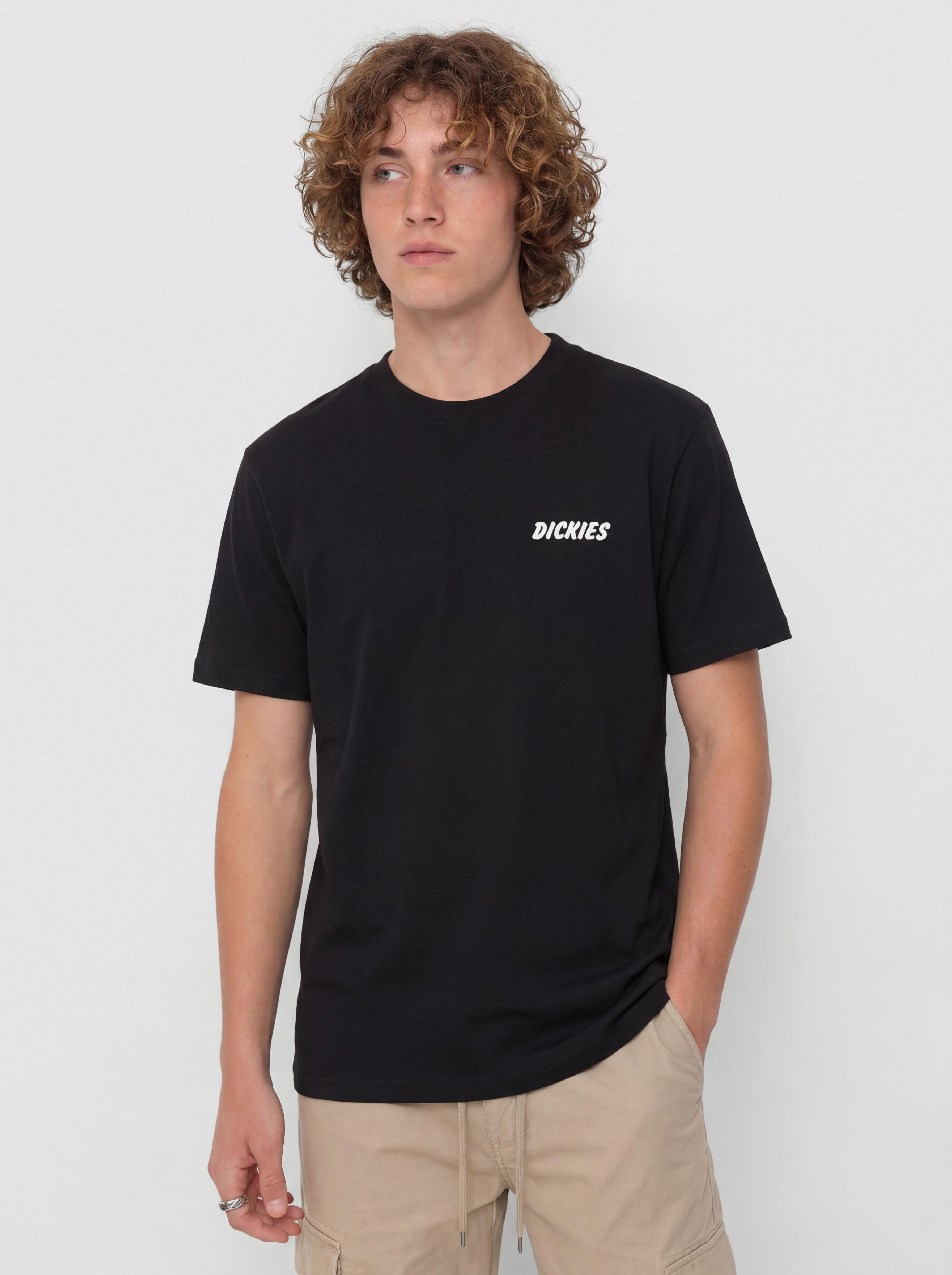 Tričko Dickies Dry Ridge (black)
