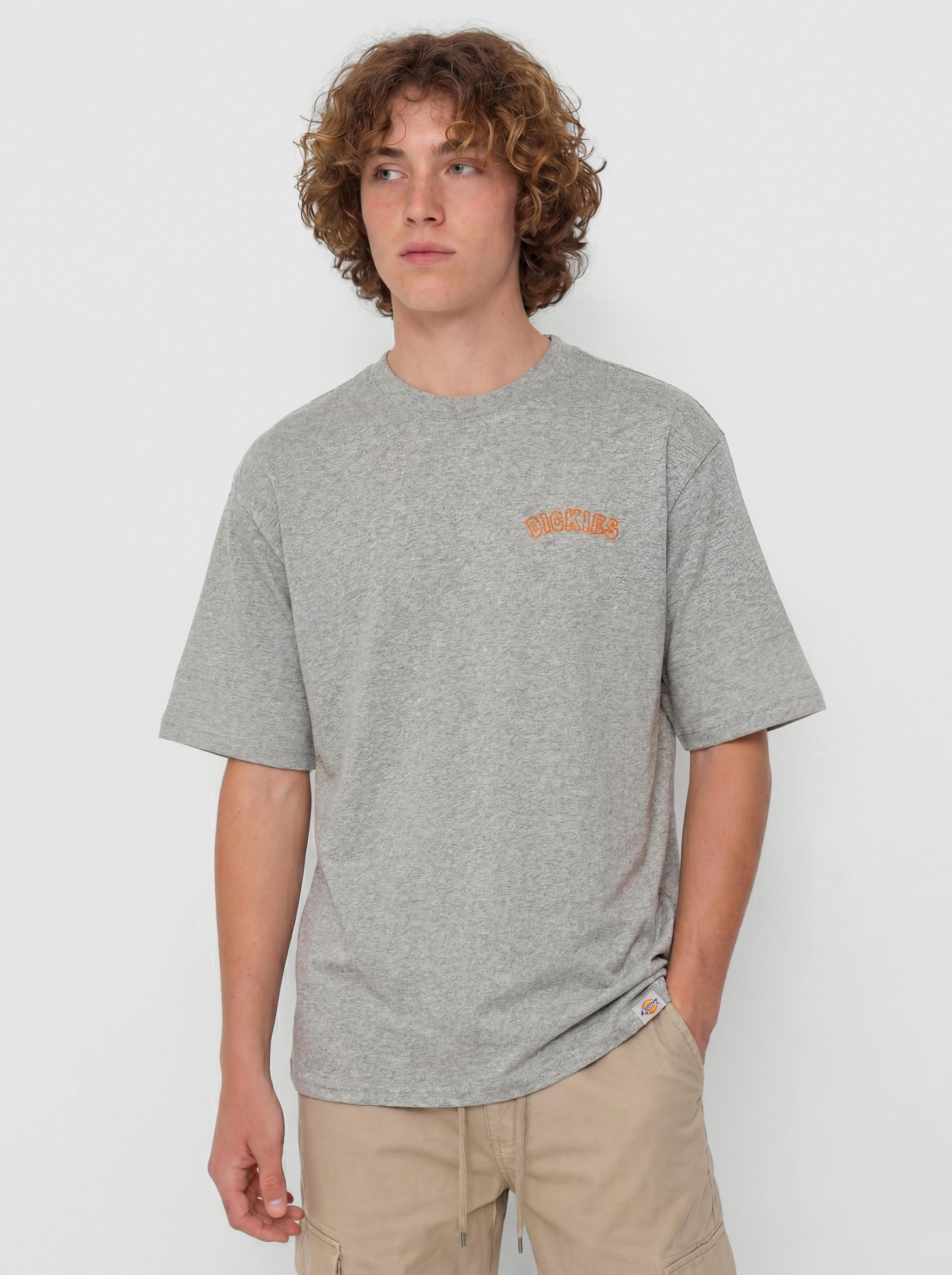 Tričko Dickies Decartuville (grey melange)