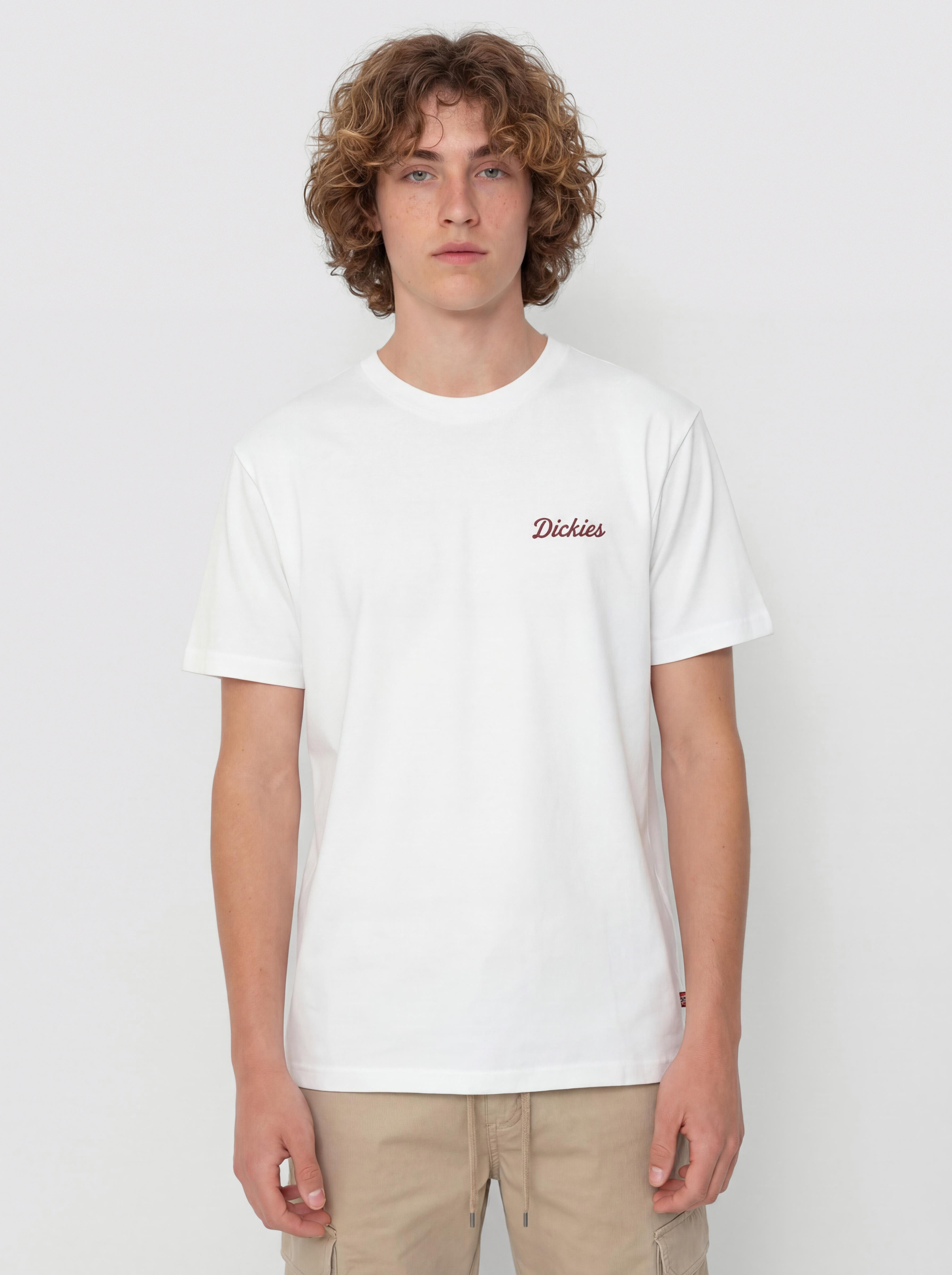 Tričko Dickies Wellsville (white)