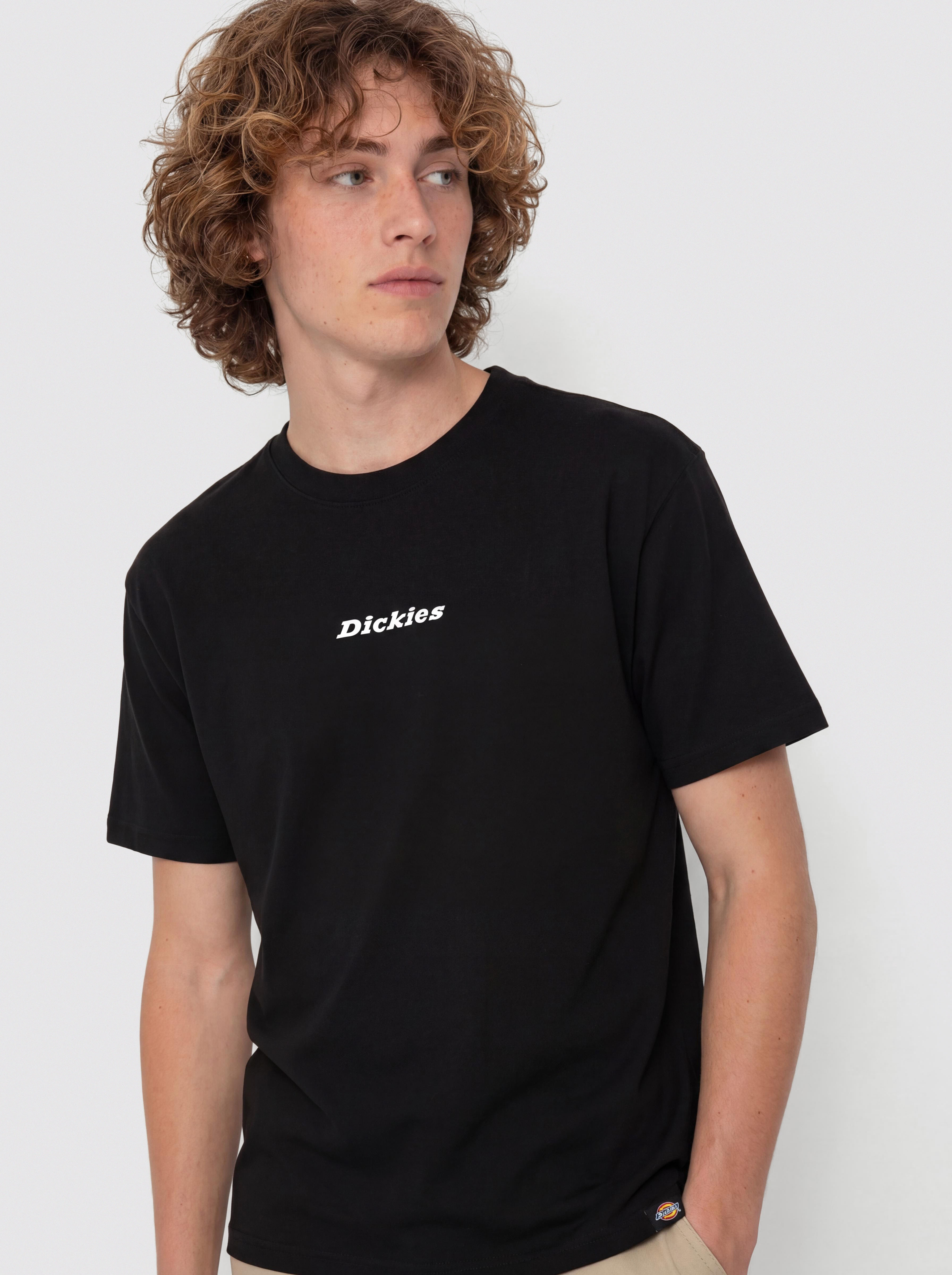 Triu010dko Dickies Enterprise (black)