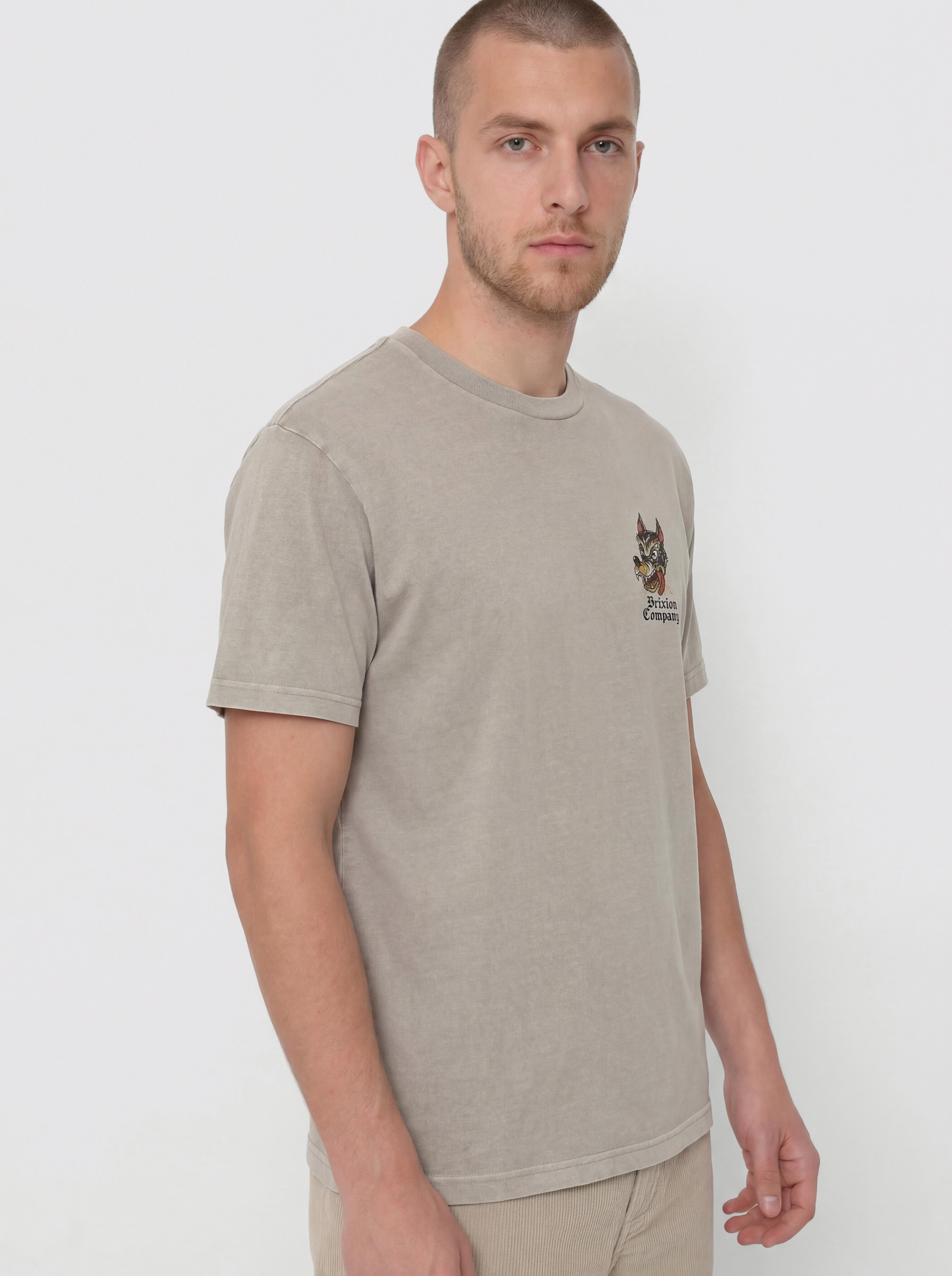 Tričko Brixton Dawg Stt (pebble stone worn wash)