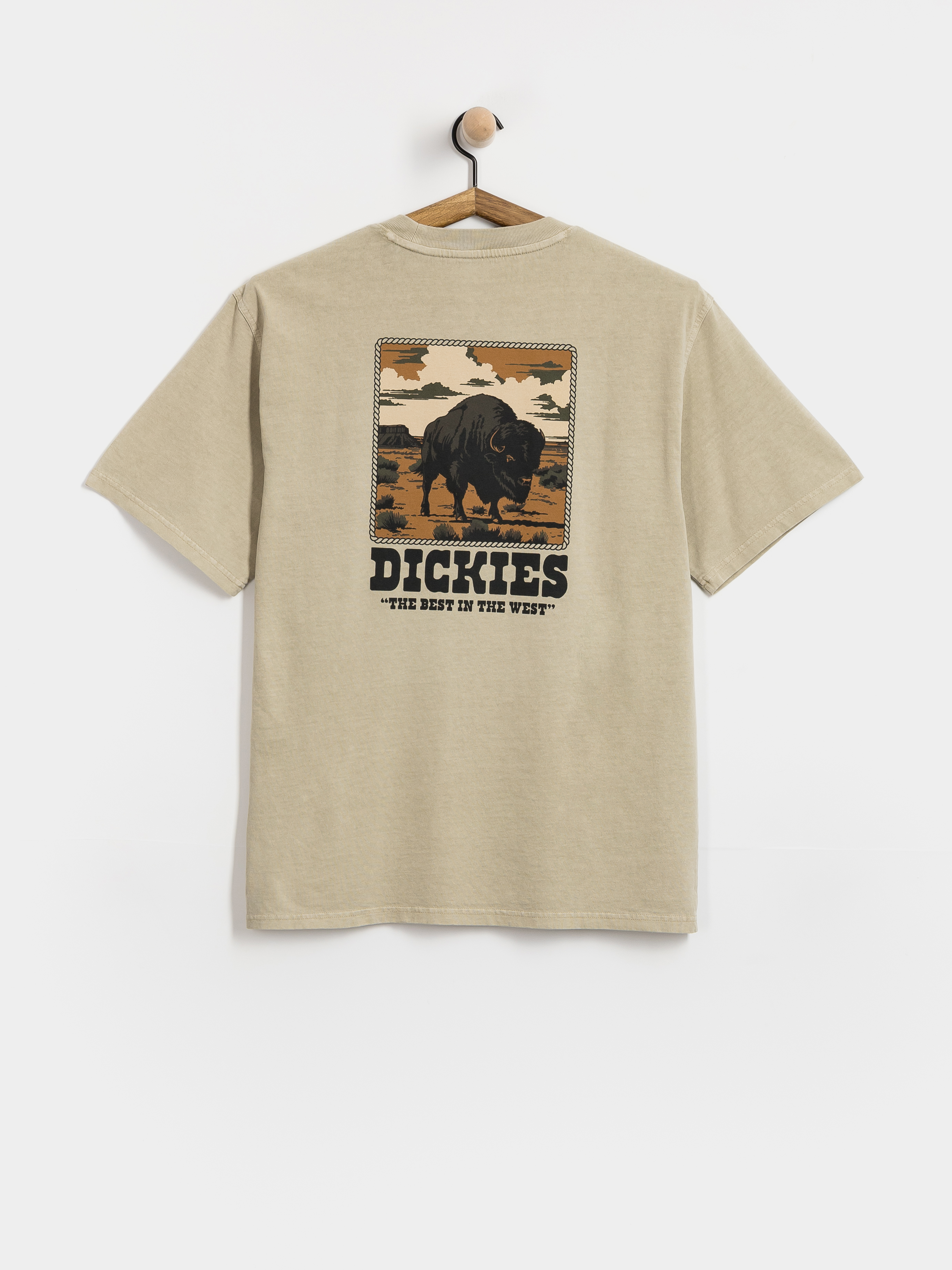 Tričko Dickies Darrtown (eucalyptus)