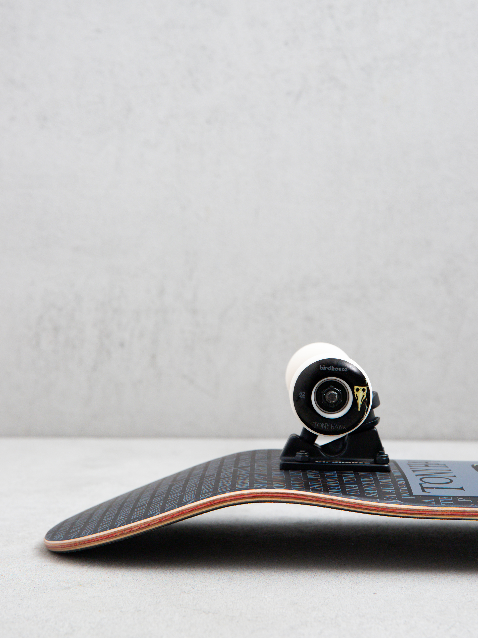 Skateboard Birdhouse Hawk Plague Doctor (black)