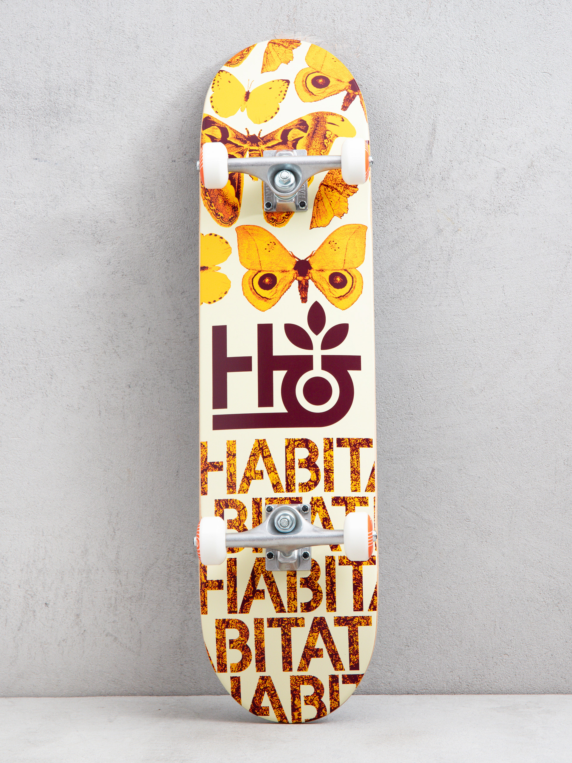 Skateboard Habitat Habitat Insecta