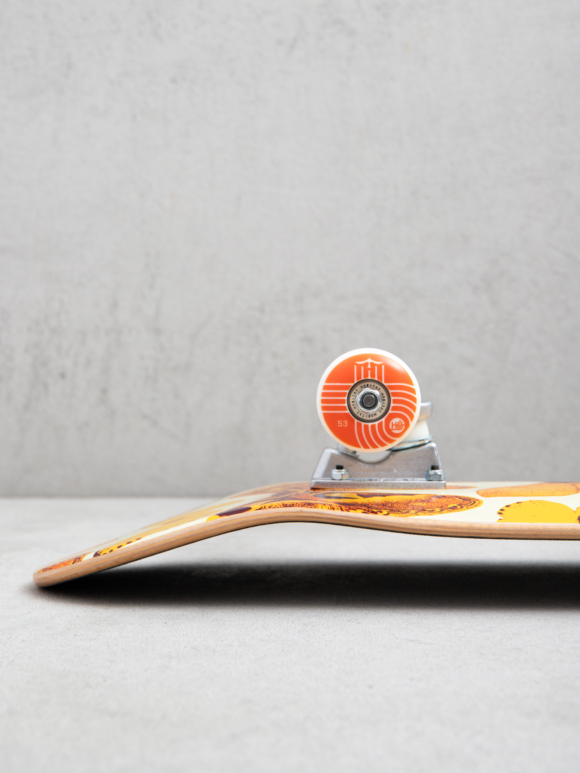 Skateboard Habitat Habitat Insecta (orange)