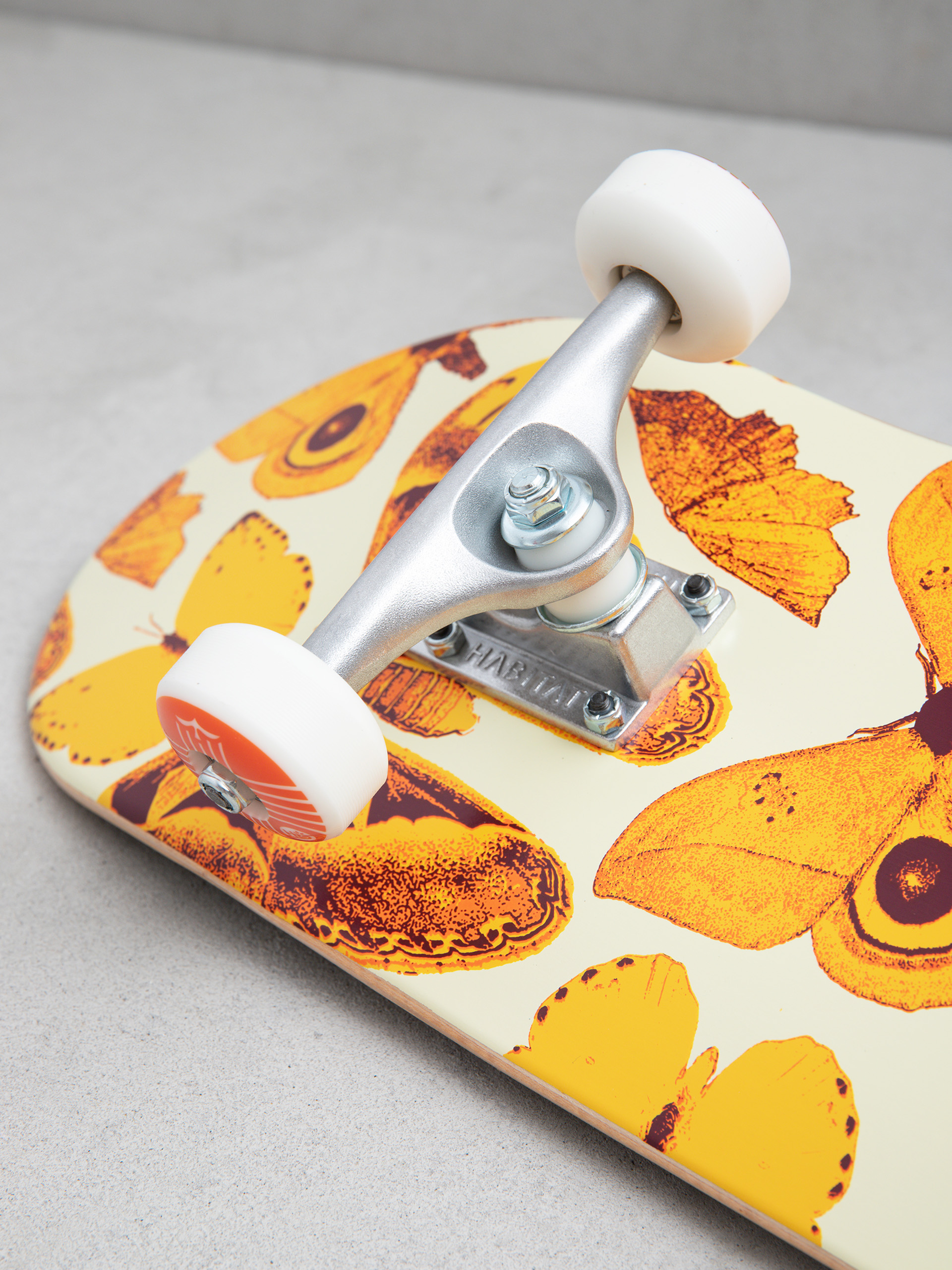 Skateboard Habitat Habitat Insecta (orange)