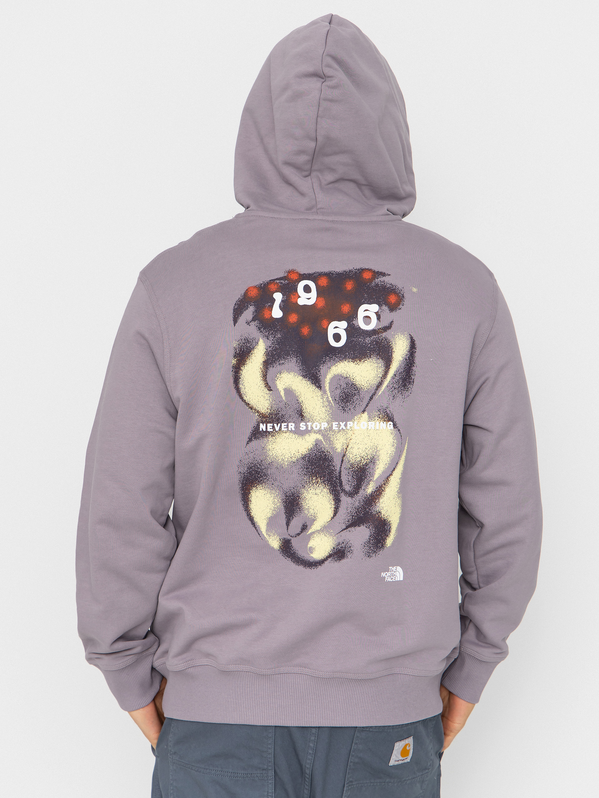 Mikina s kapucí The North Face Motion Relaxed HD (transcendent gr)
