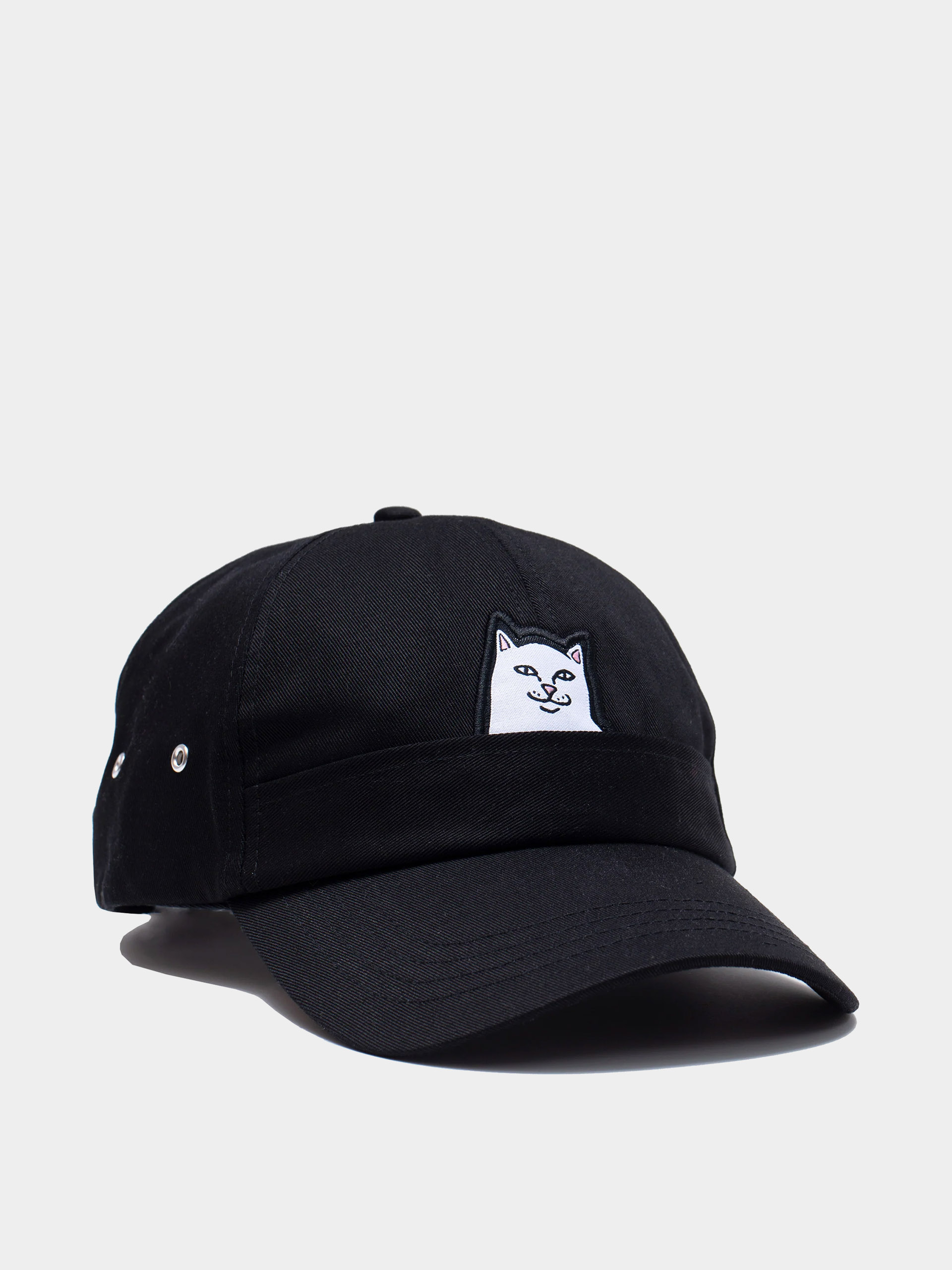 Kšiltovka  RipNDip Lord Nermal 6 Panel Pocket
