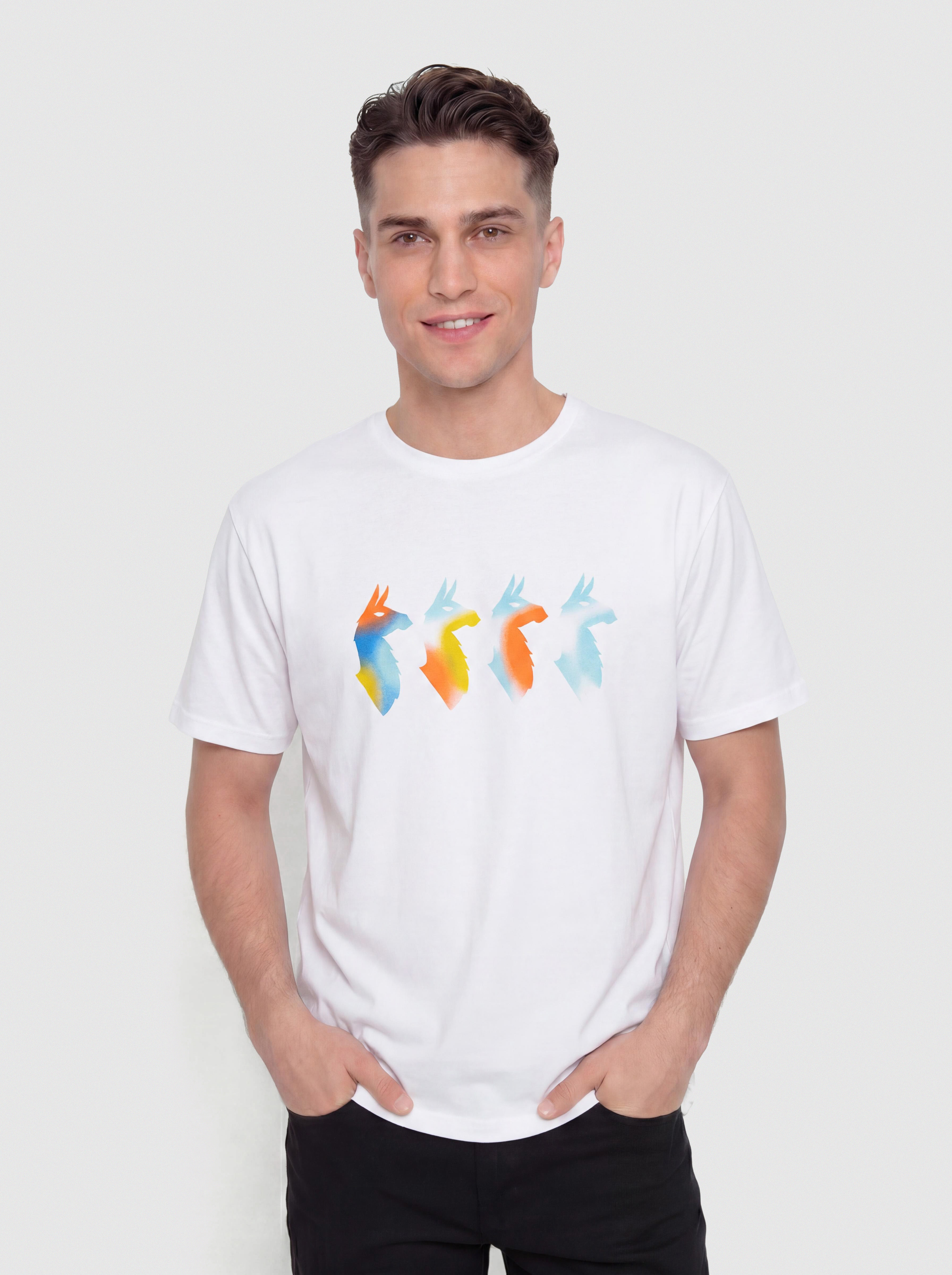 Triu010dko Cotopaxi Cuatro Bitmap (white)