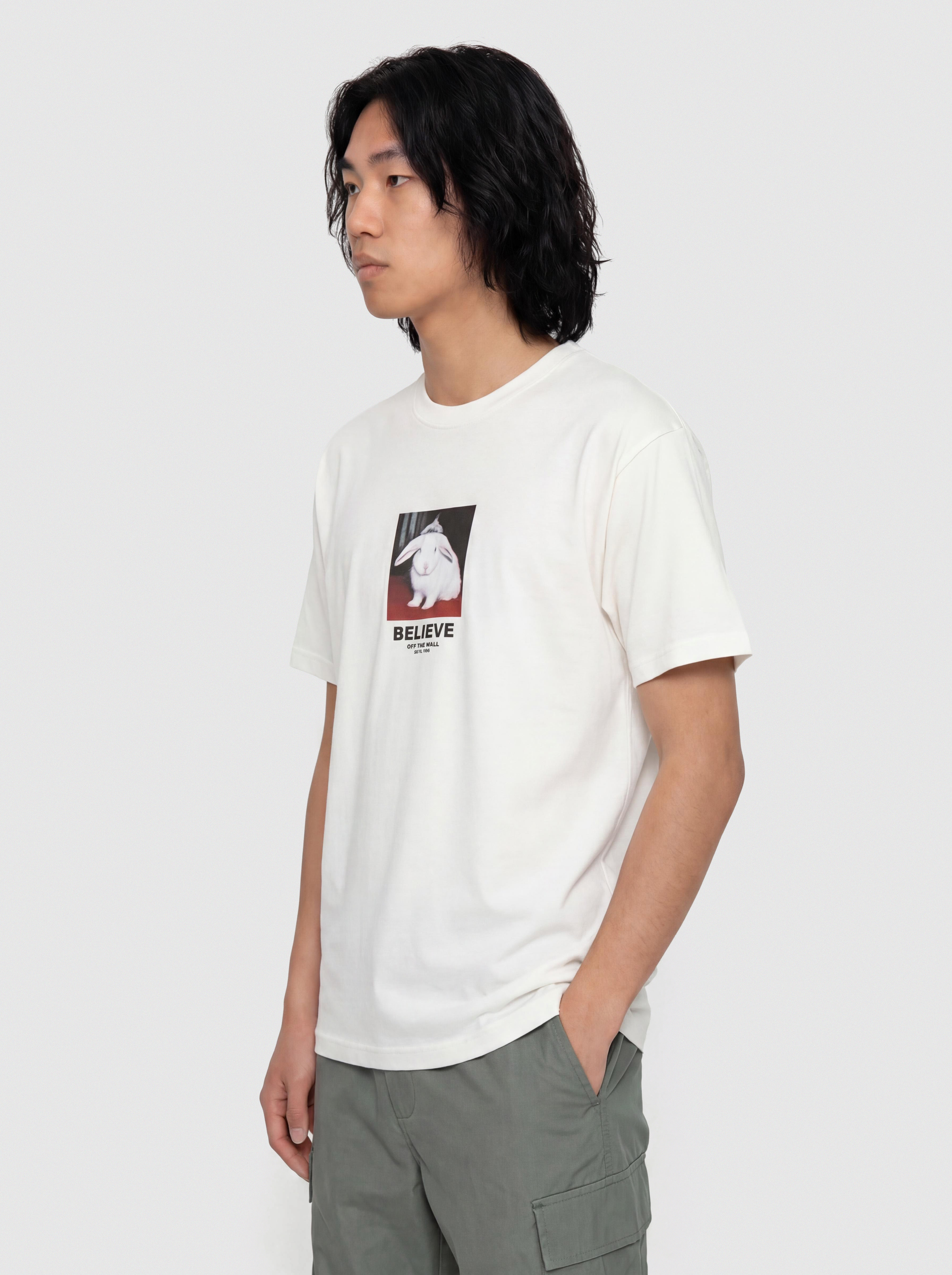 Triu010dko Vans Magic Within (white)