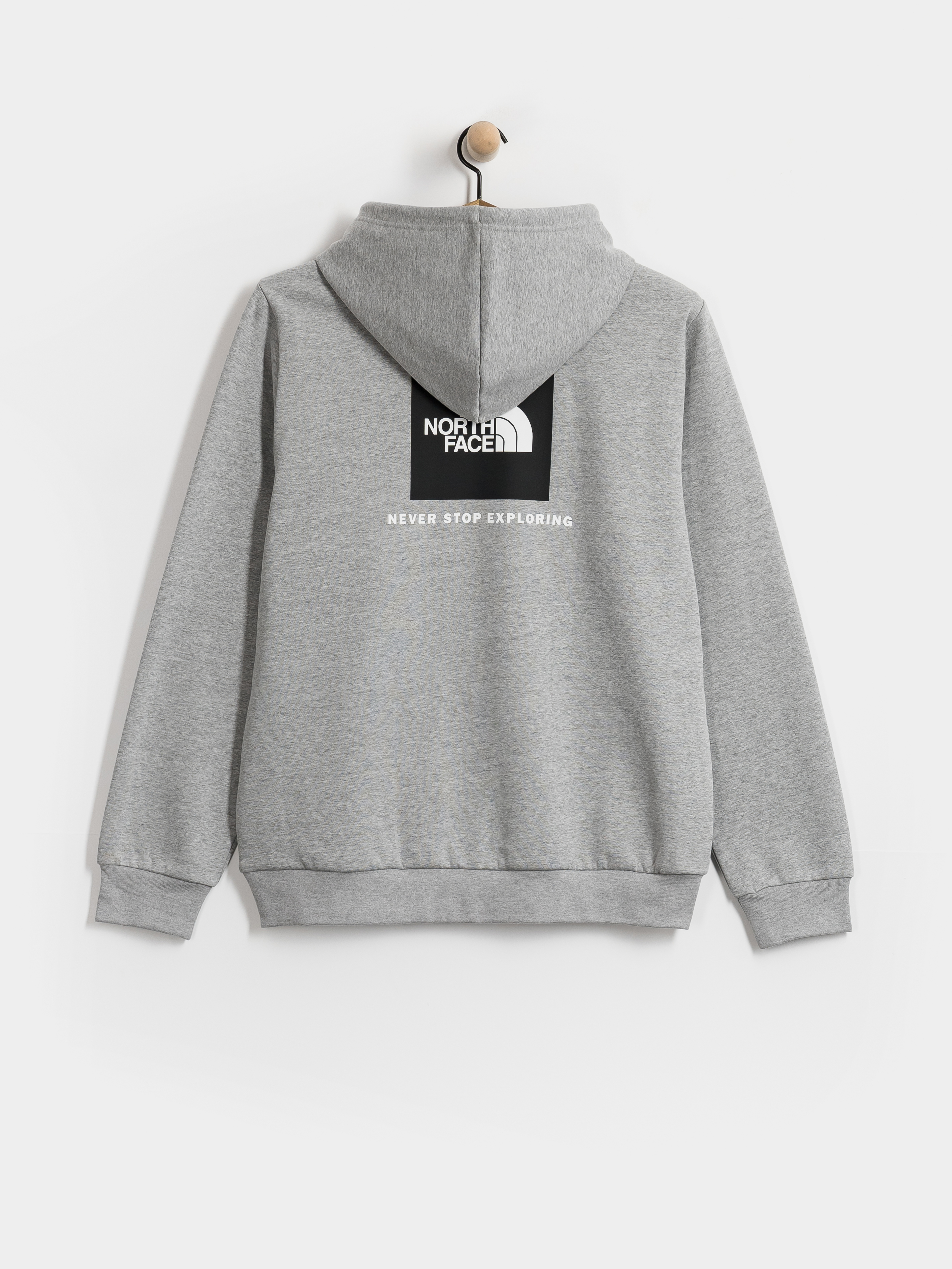Mikina s kapucu00ed The North Face Evolution Box Nse Regular HD (tnf pale grey heather)