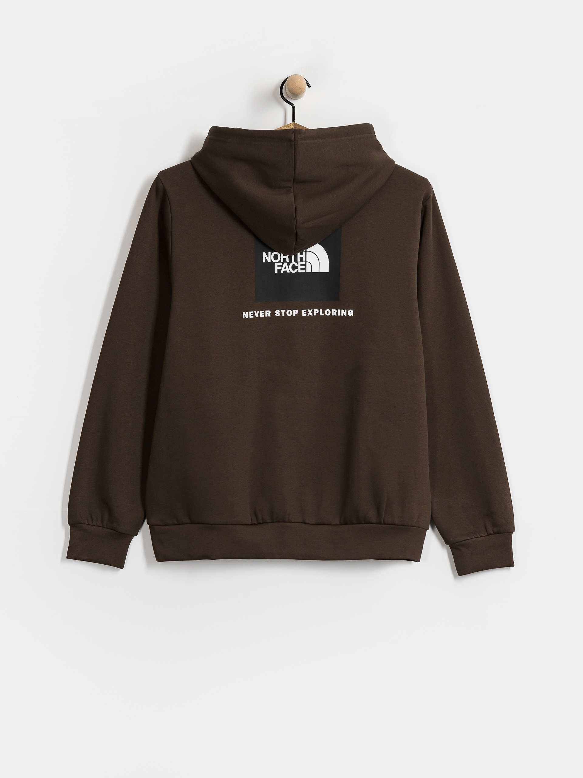 Mikina s kapucí The North Face Evolution Box Nse Regular HD (dark chestnut)