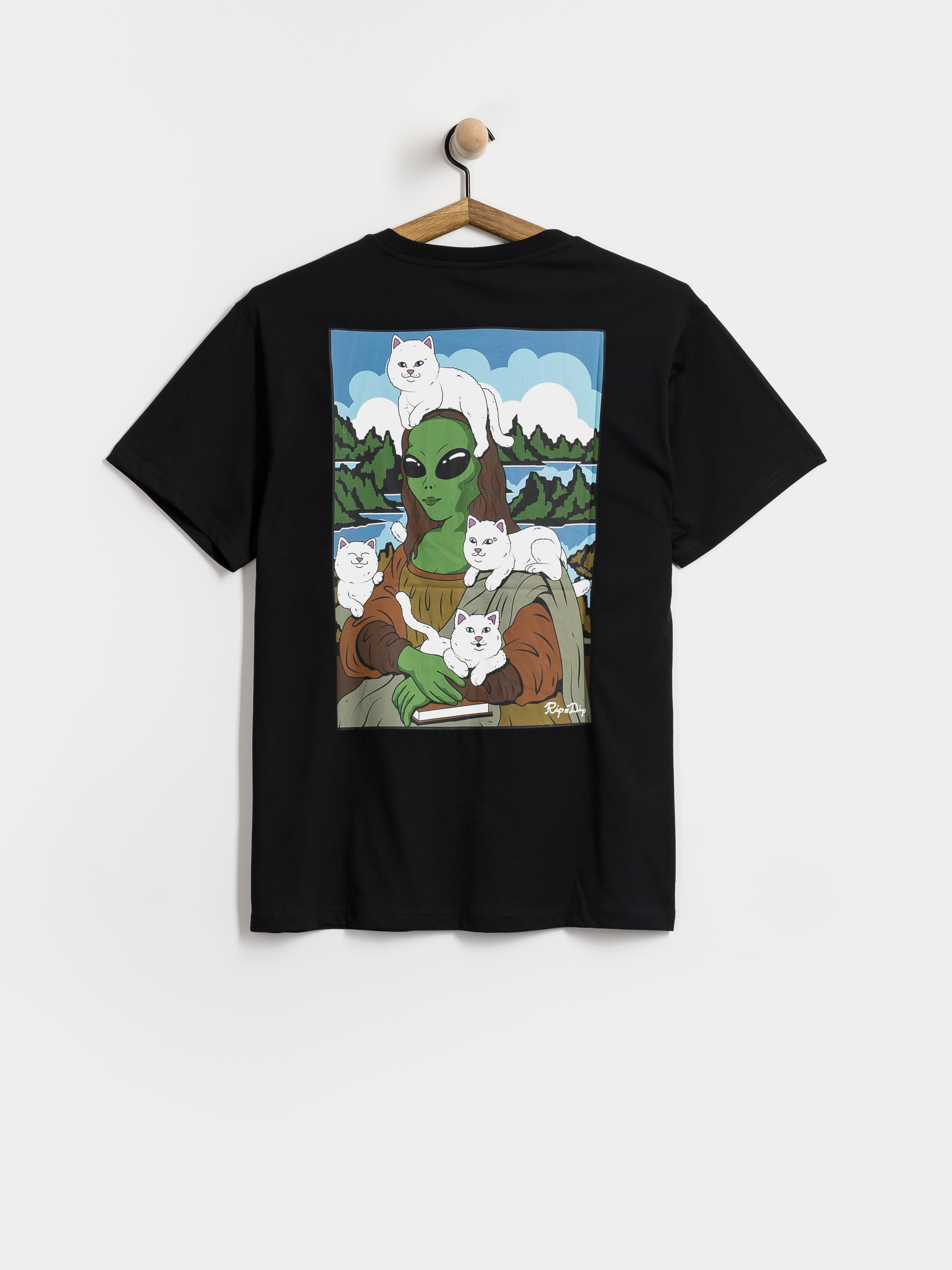 Tričko RipNDip Here All Along (black)