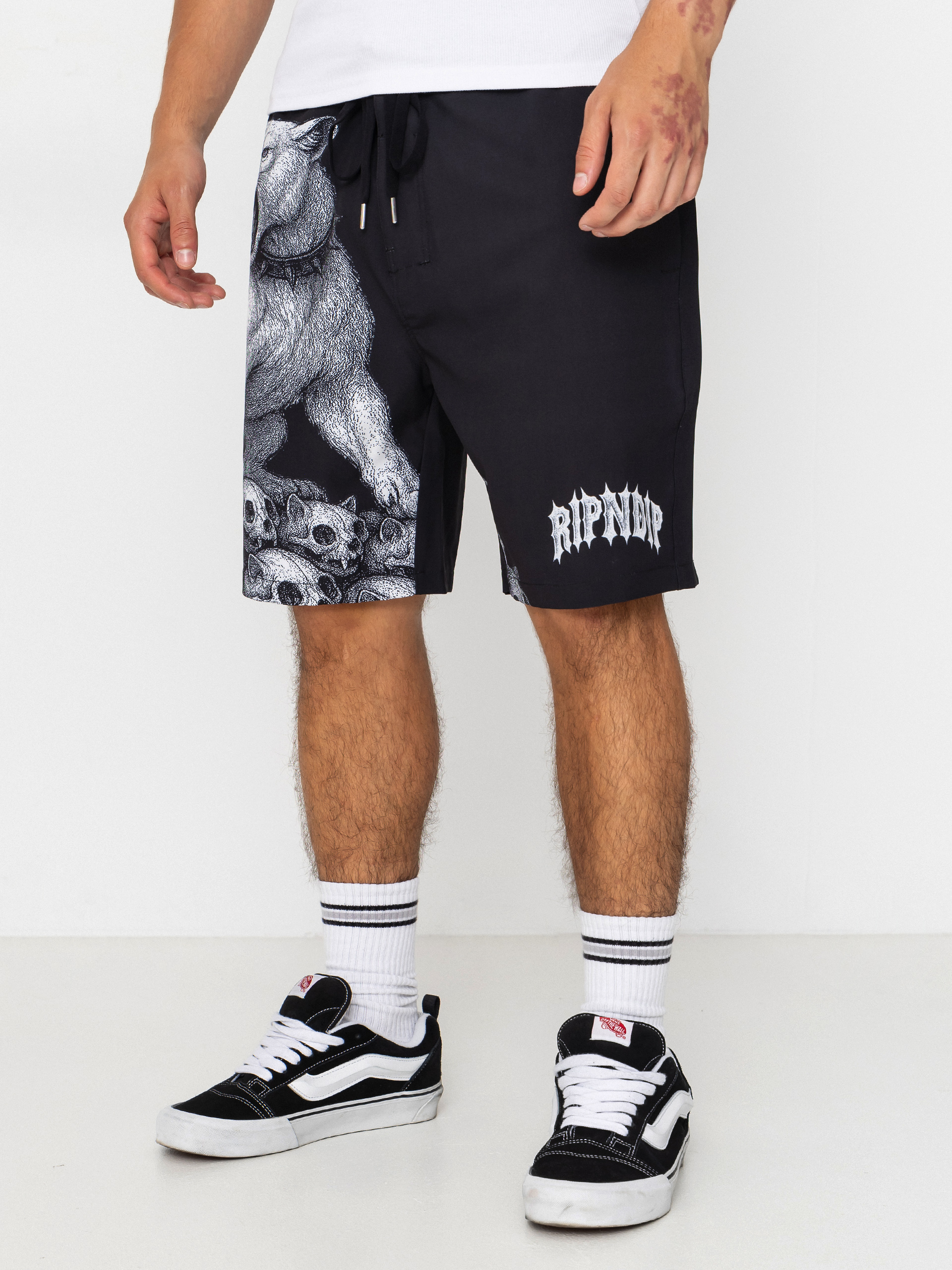 Kraťasy RipNDip Wasteland Swim (black)
