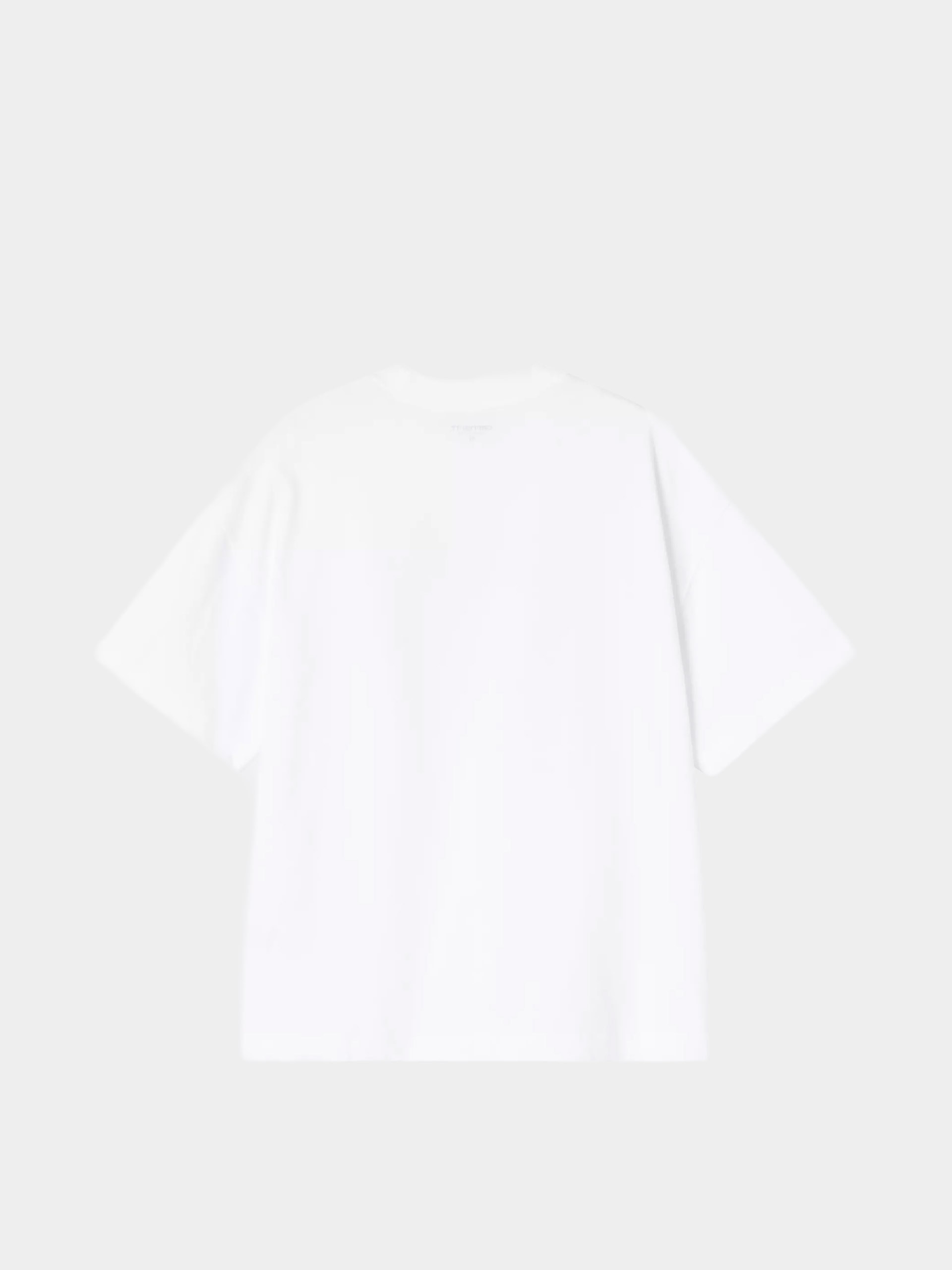 Tričko Carhartt WIP Pennon (white)
