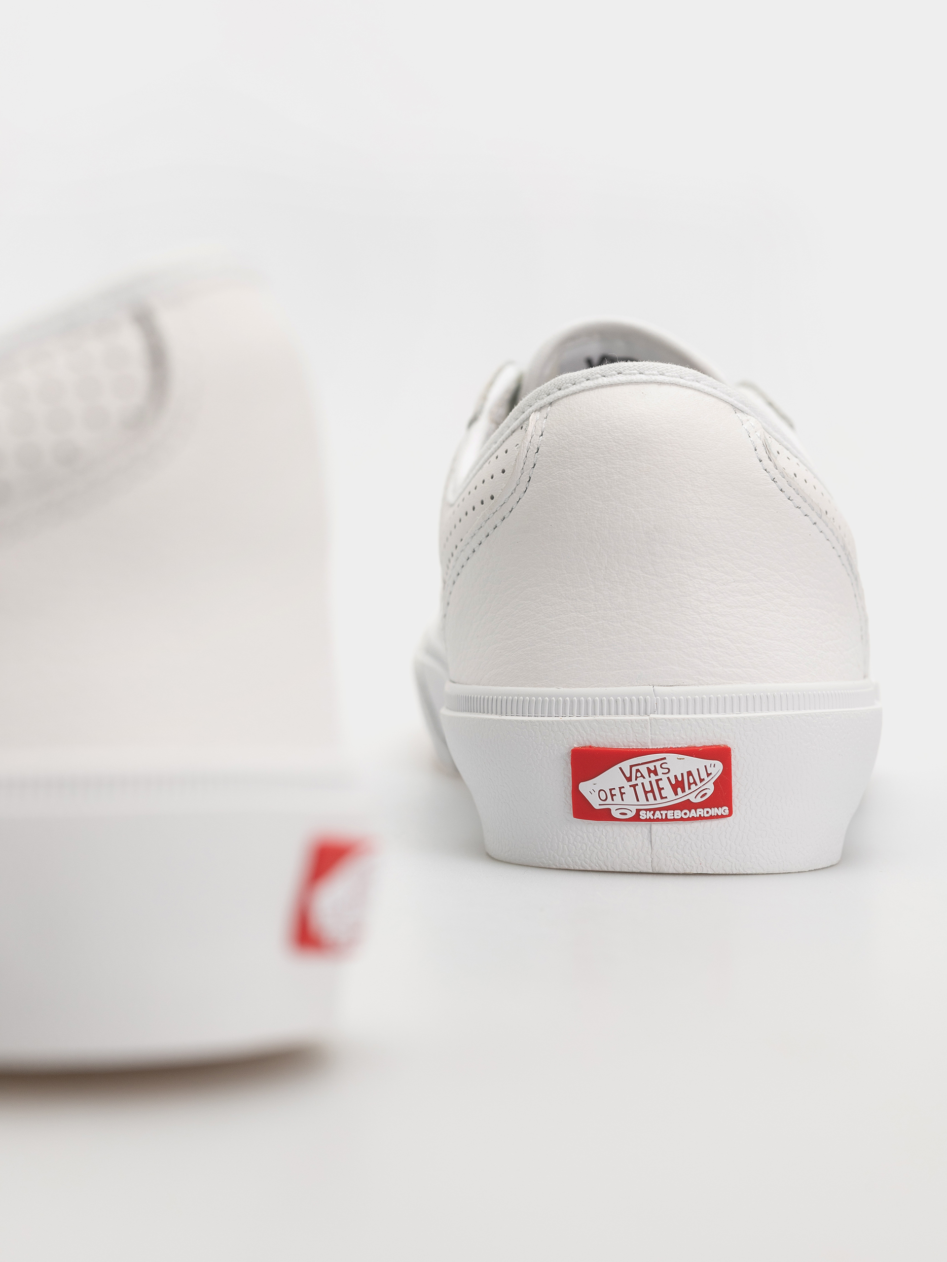Boty Vans Skate Curren Caples (white)
