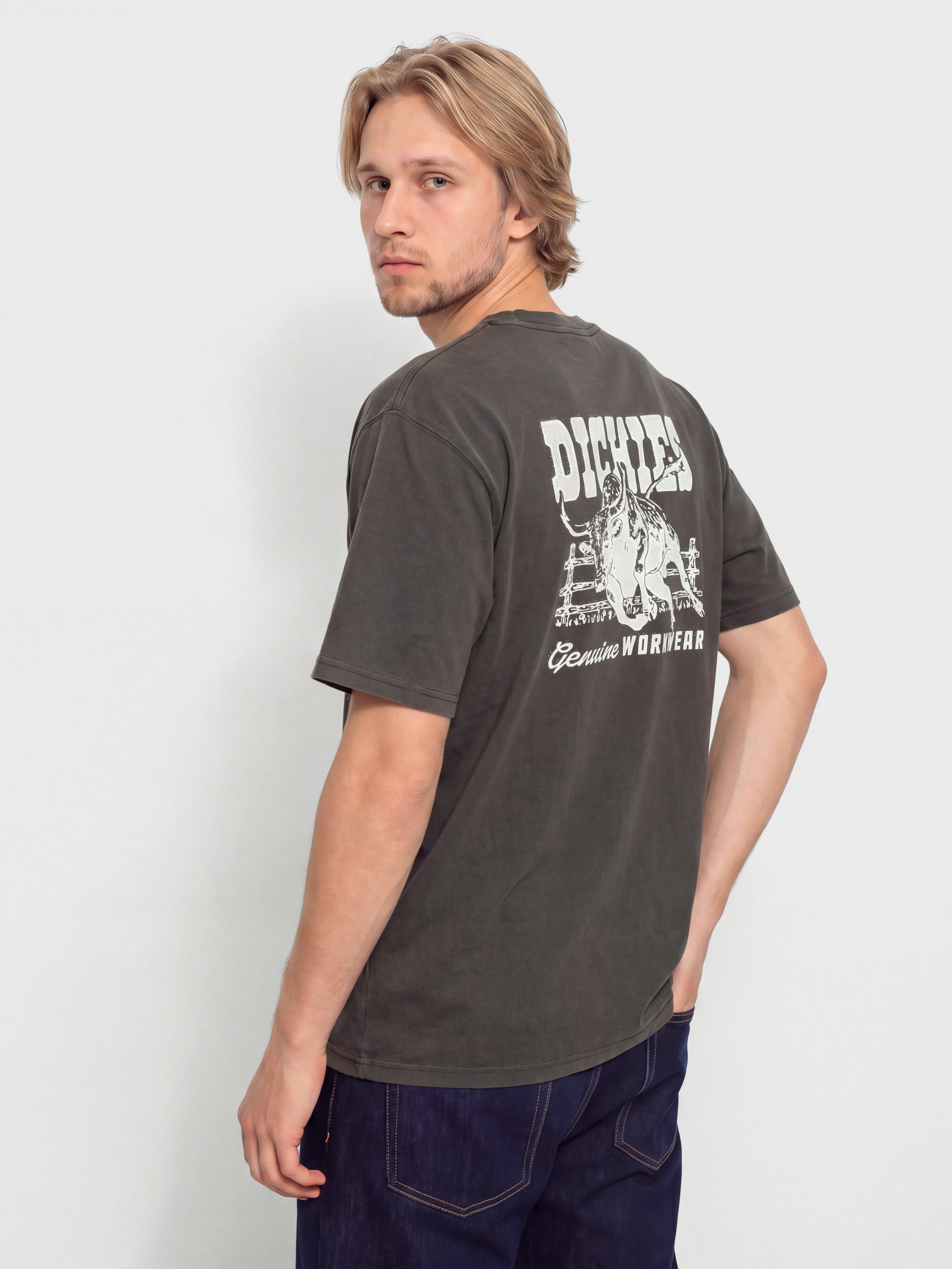 Tričko Dickies Buchtell (black)