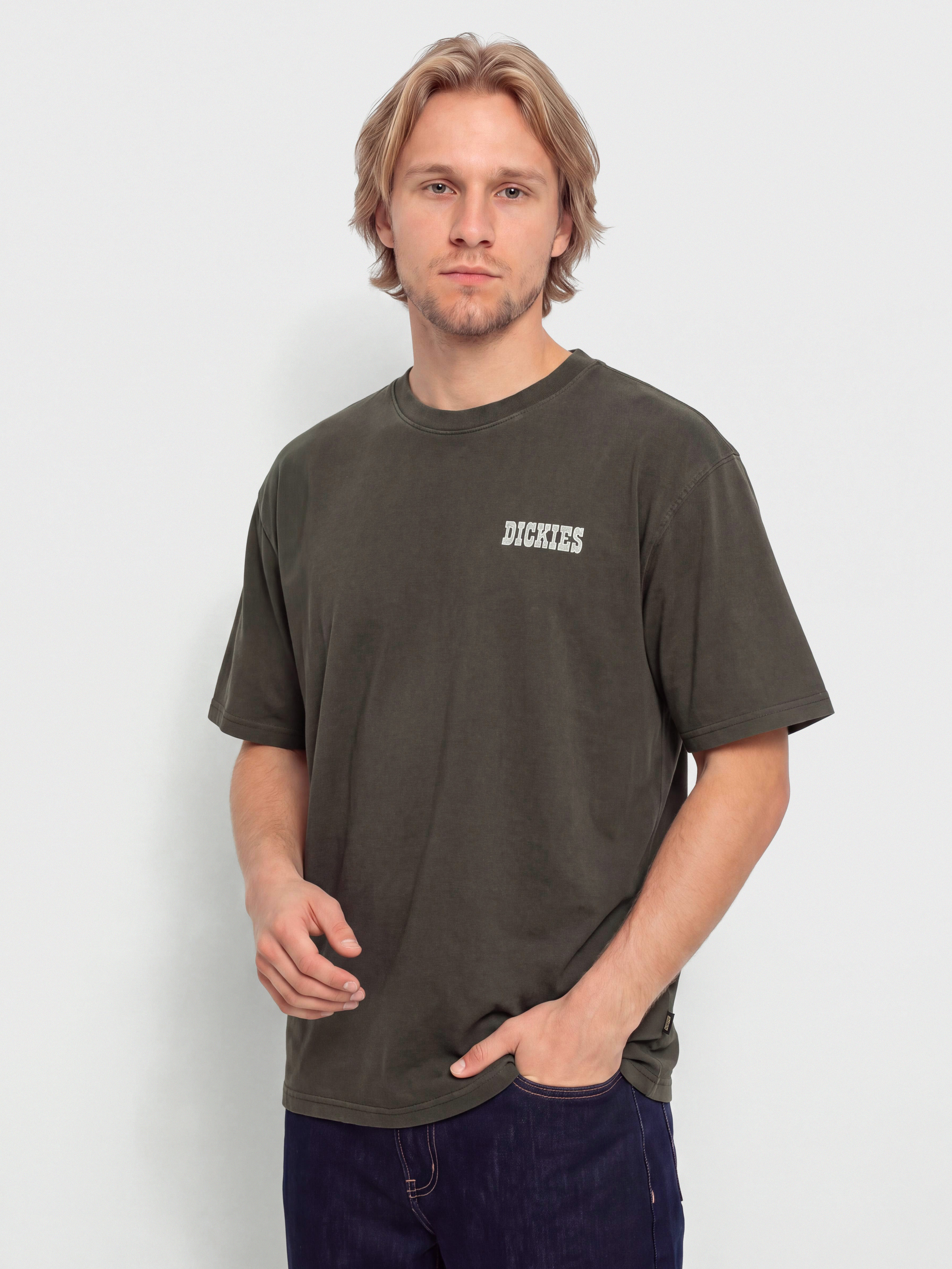 Tričko Dickies Buchtell (black)