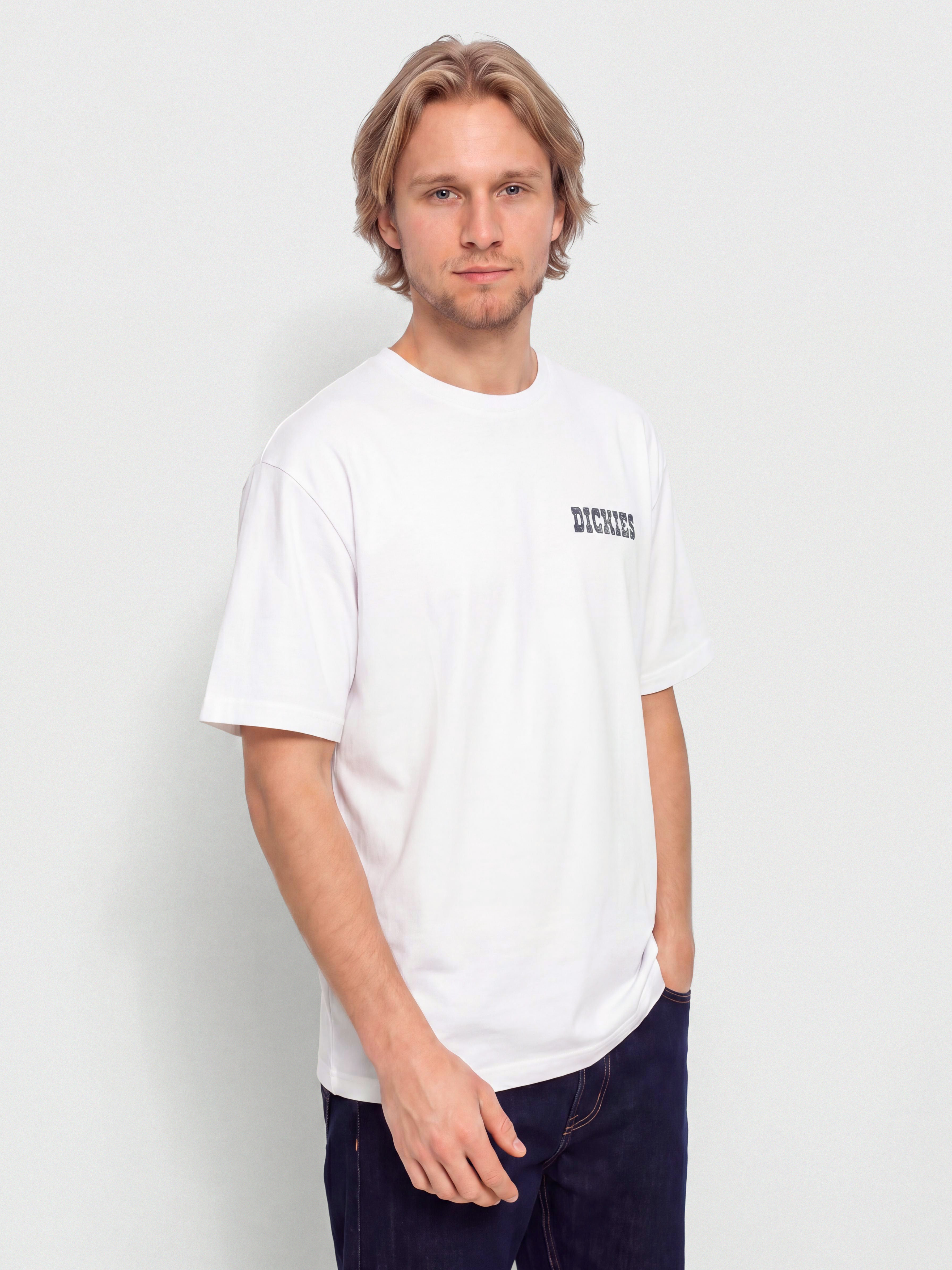 Tričko Dickies Plain City (white)