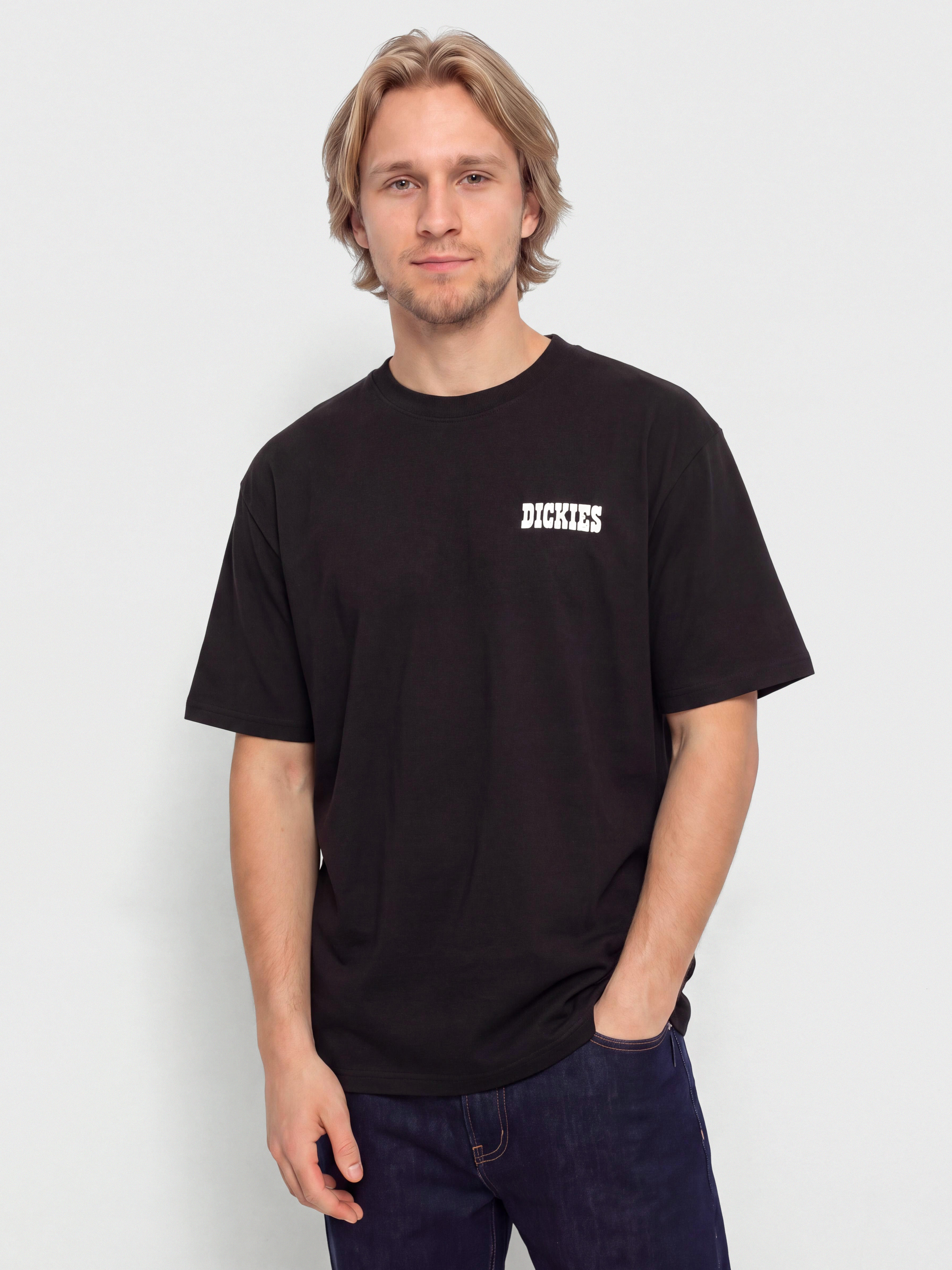 Tričko Dickies Plain City (black)
