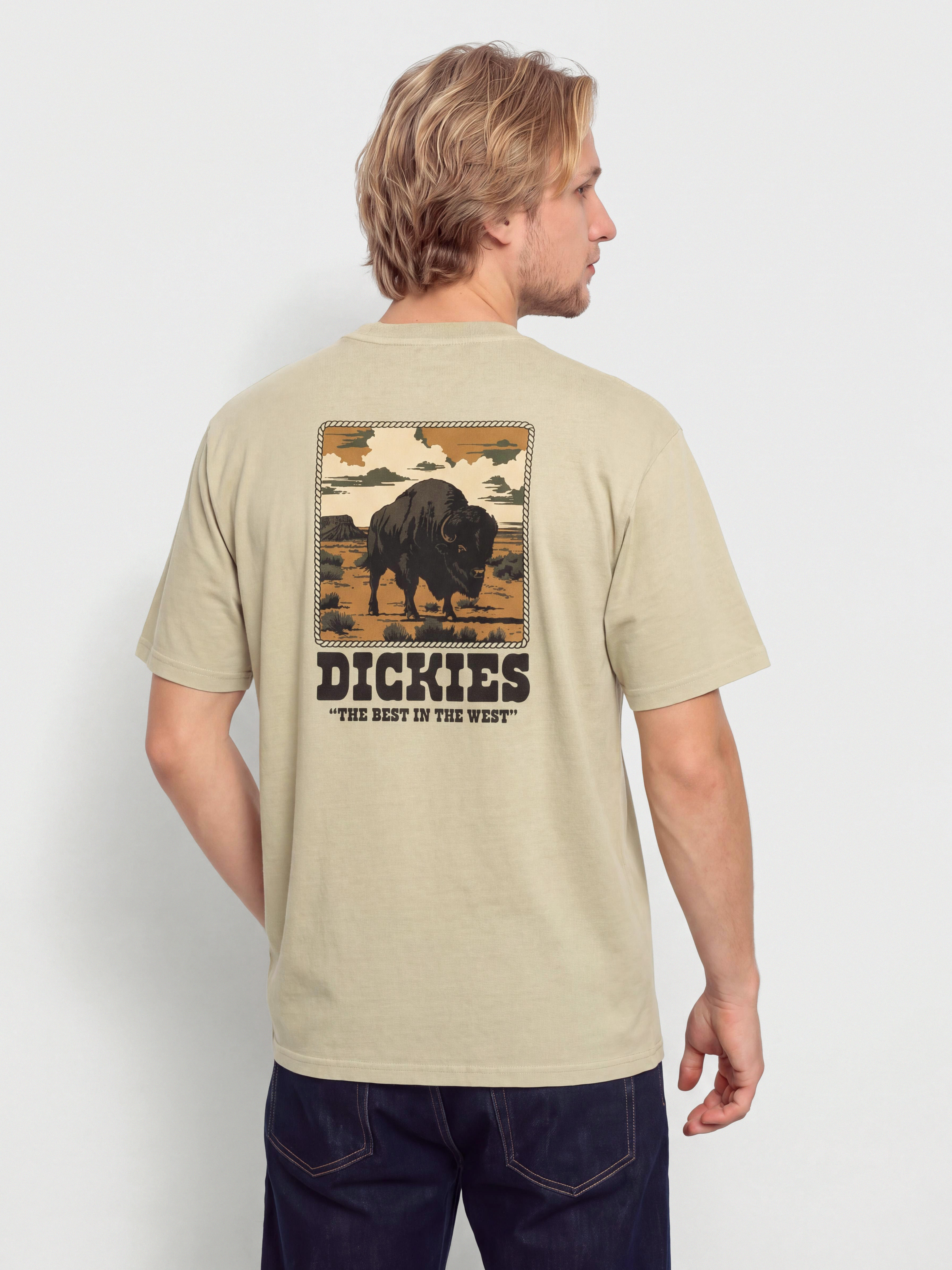 Tričko Dickies Darrtown (eucalyptus)