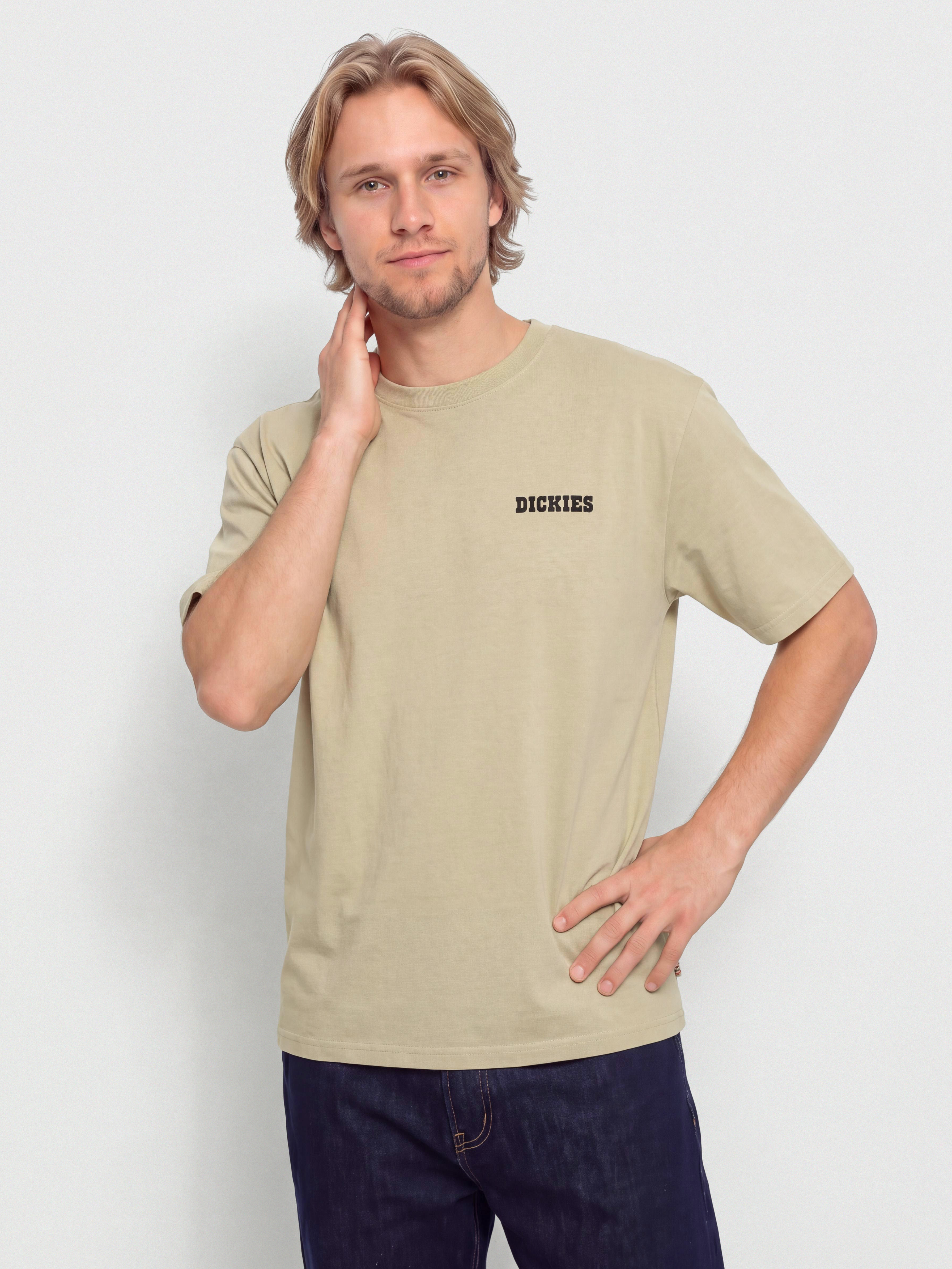 Tričko Dickies Darrtown (eucalyptus)