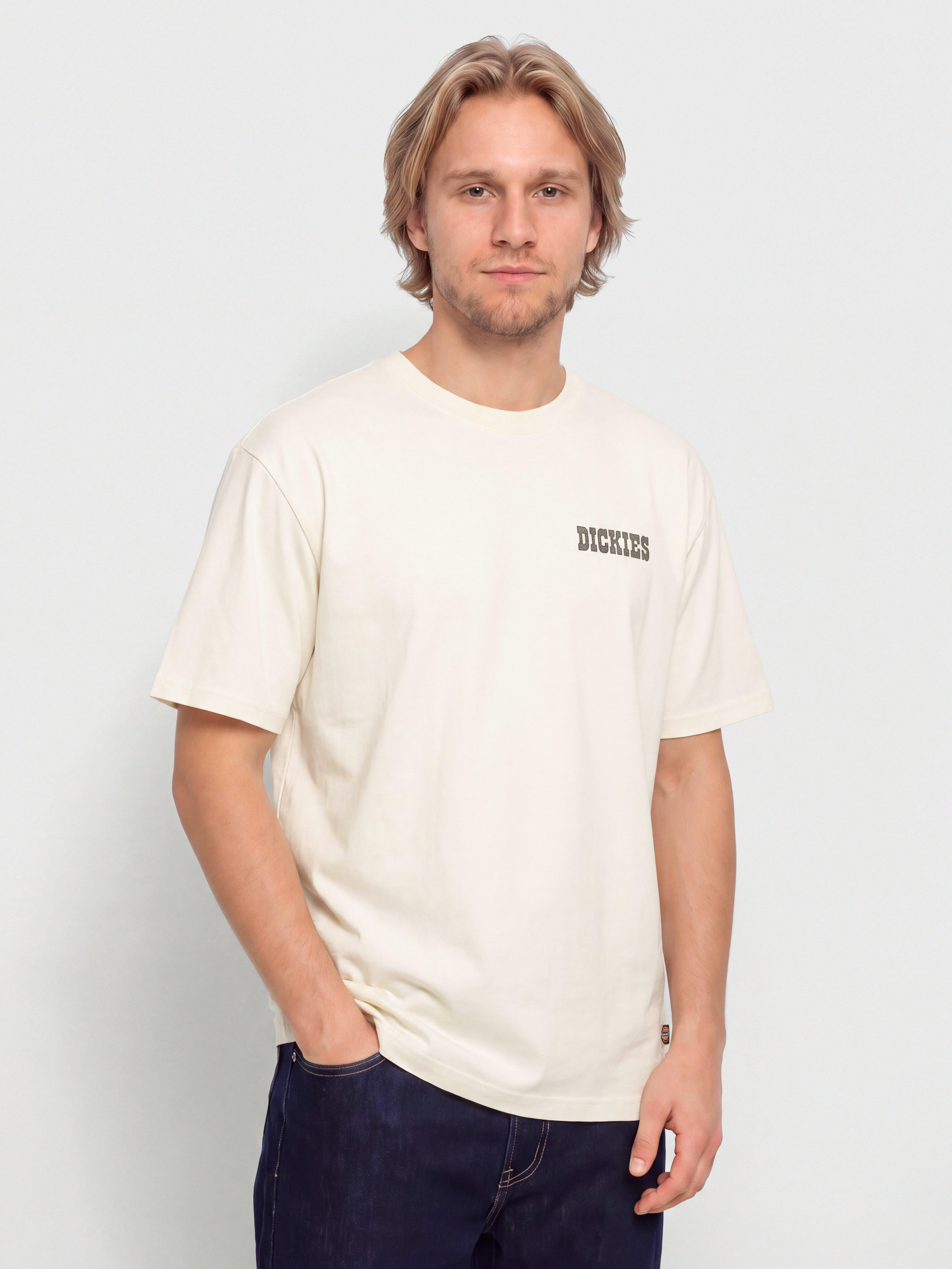 Tričko Dickies Buchtell (egret)