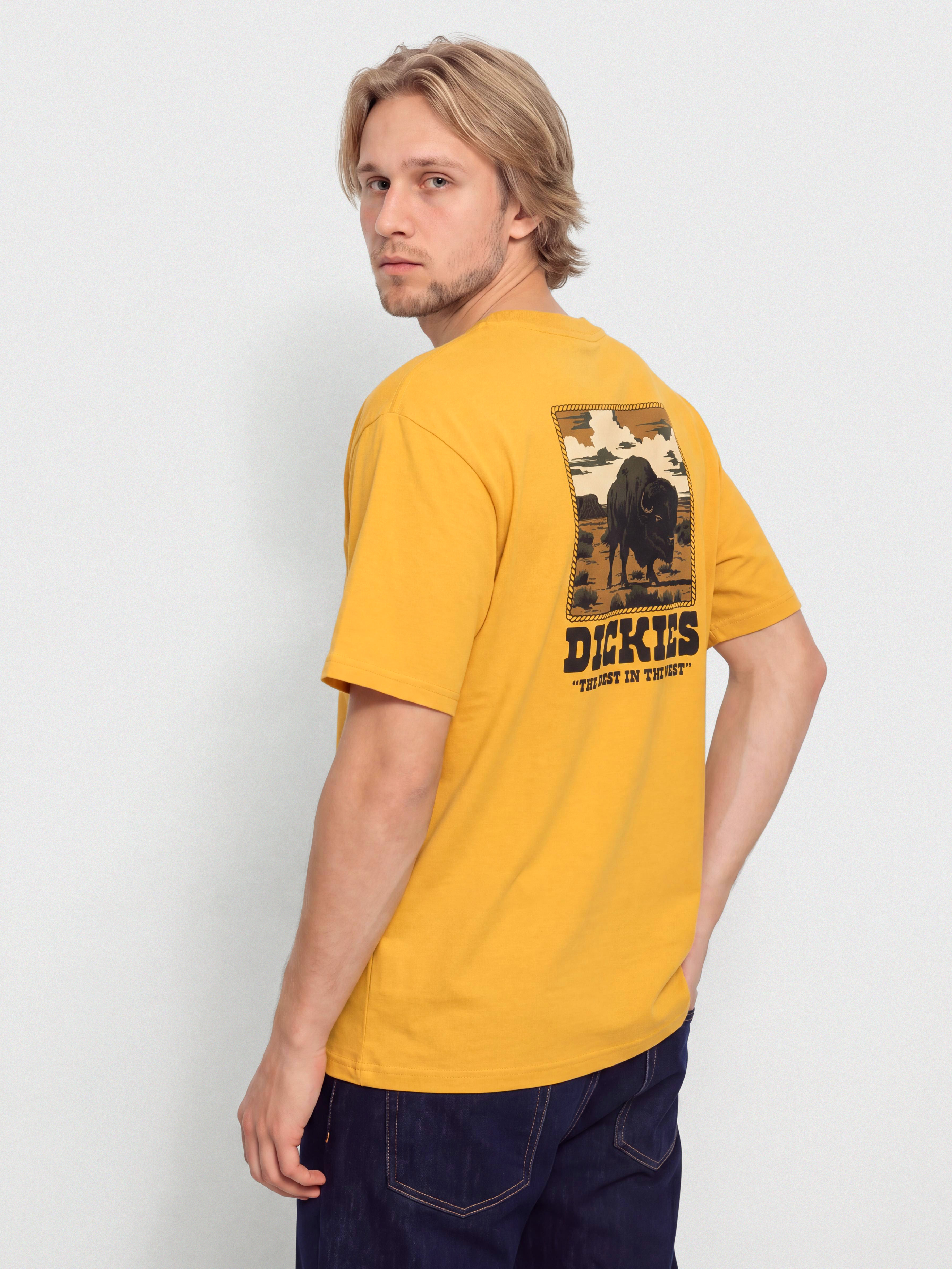 Tričko Dickies Darrtown