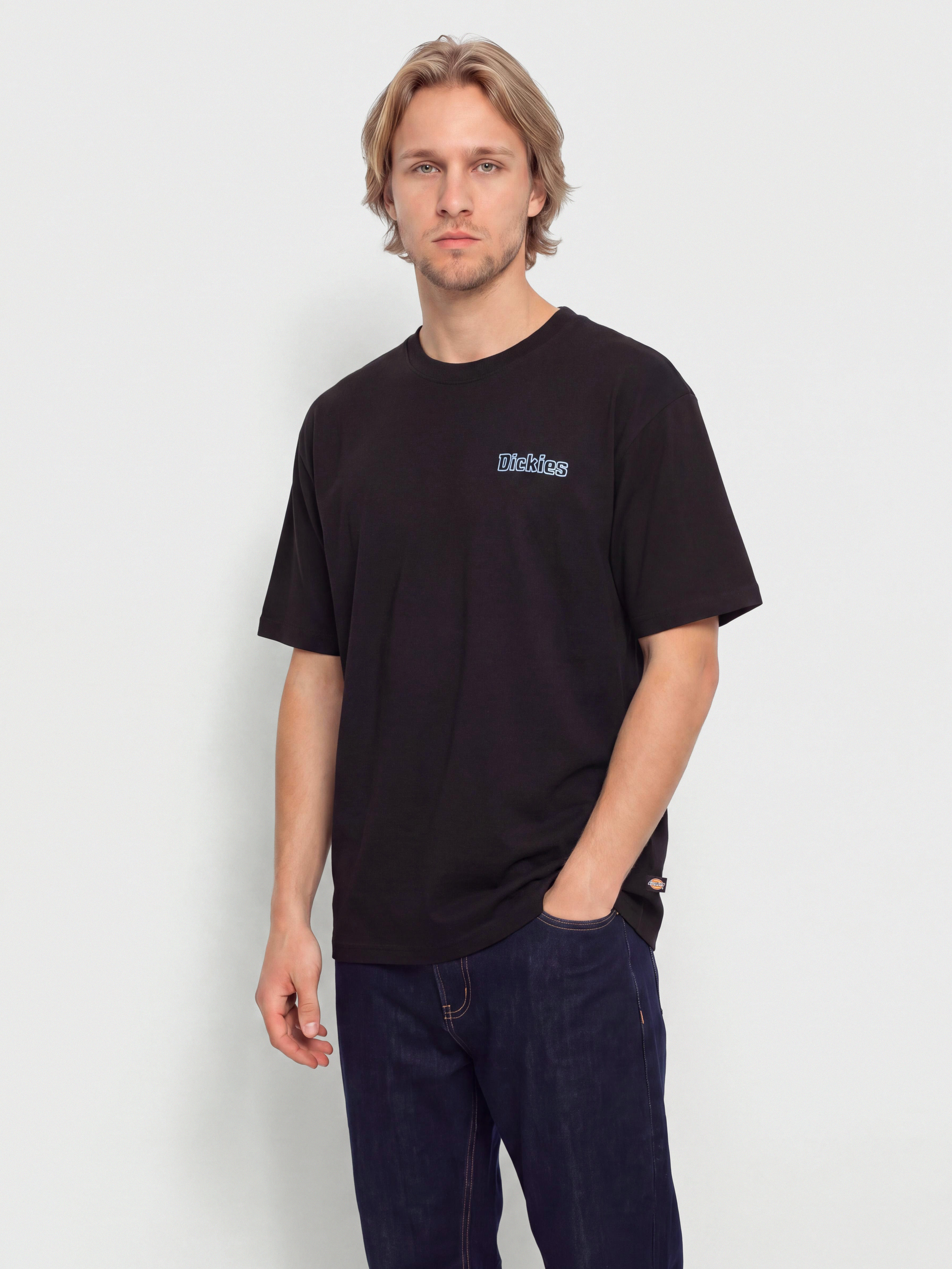 Triu010dko Dickies Fairlawn (black)