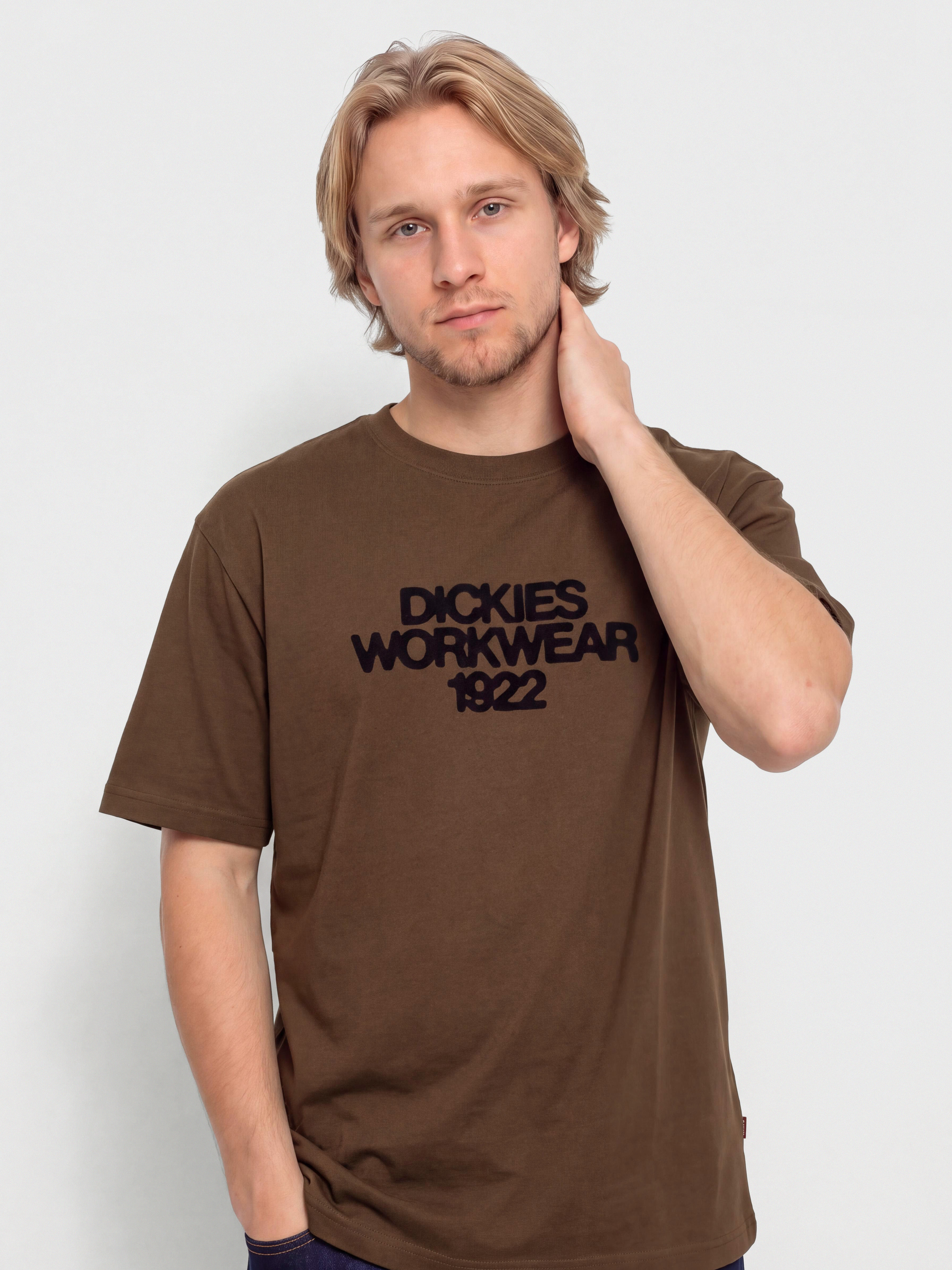 Tričko Dickies Torrey (timber brown)