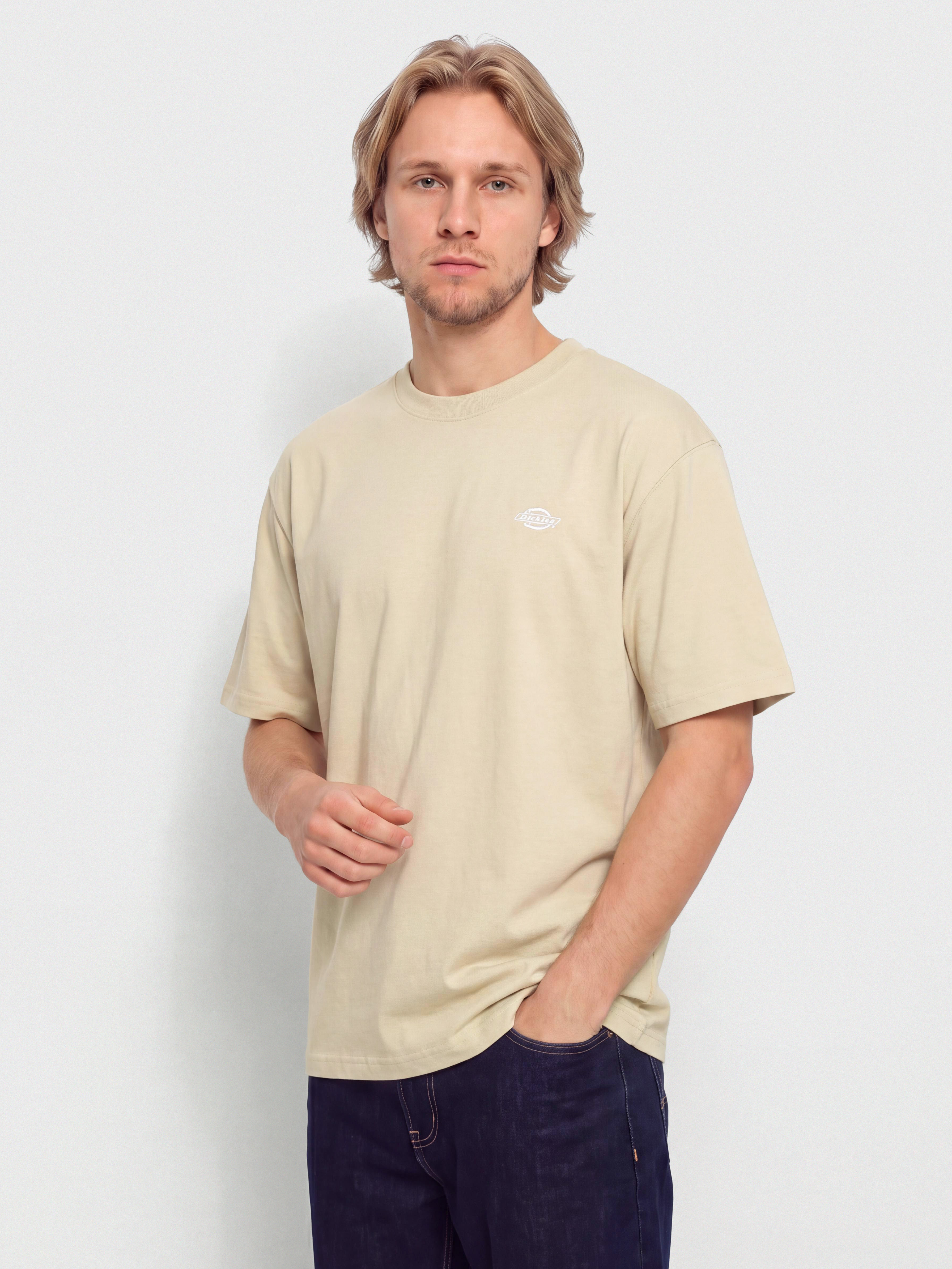 Tričko Dickies Summerdale (eucalyptus)