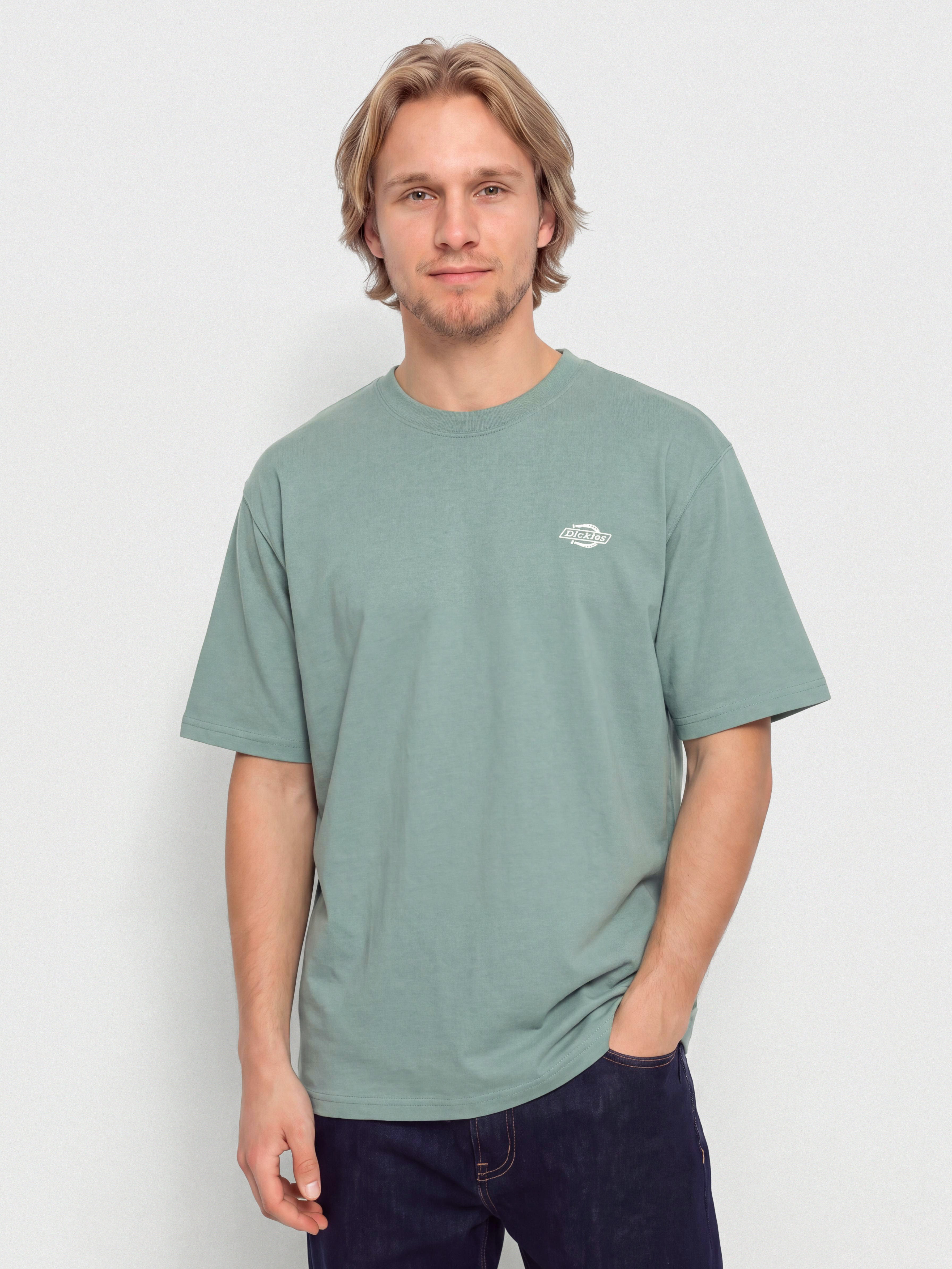 Tričko Dickies Summerdale (stormy sea)