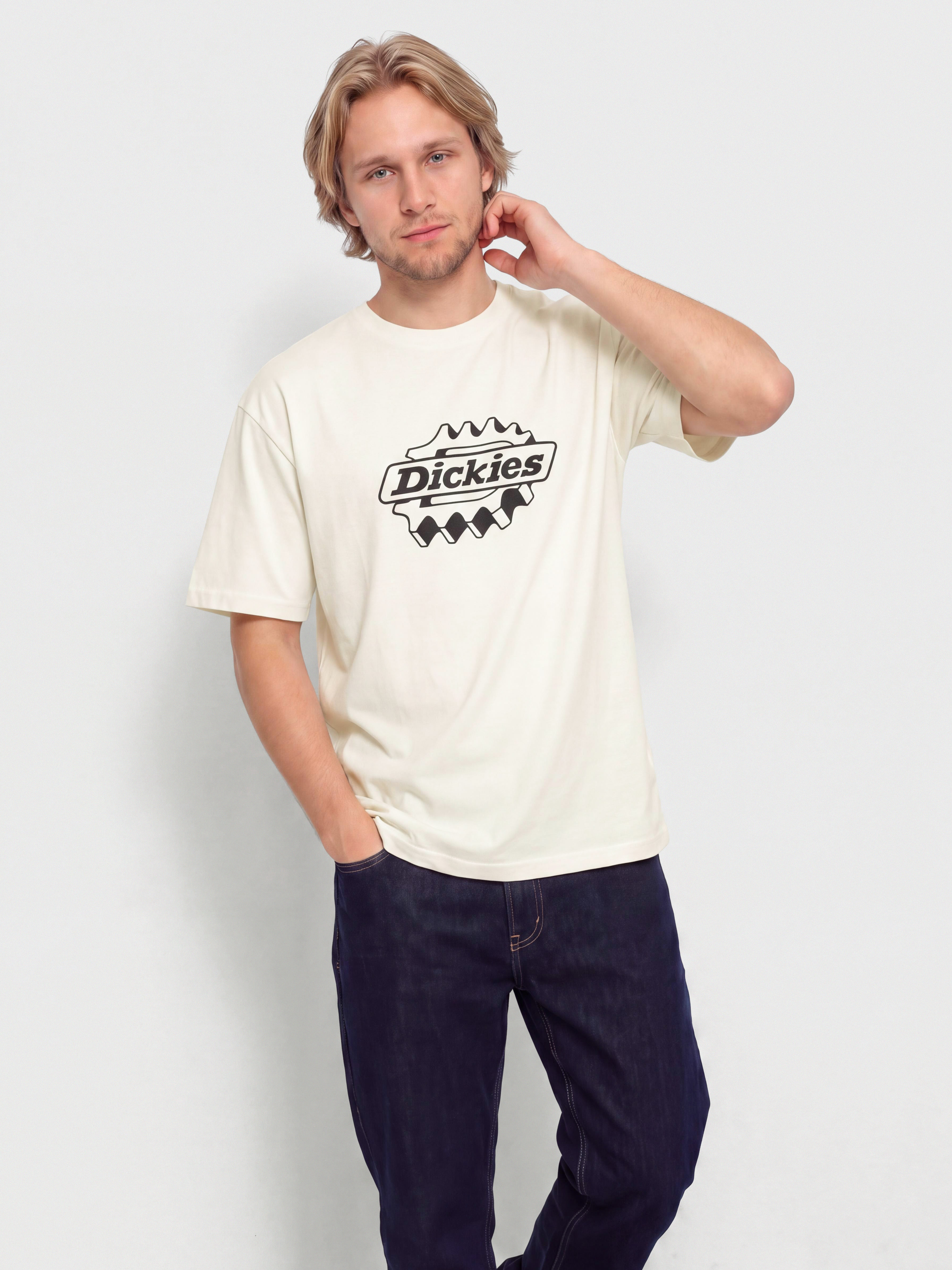 Triu010dko Dickies Irondale (egret)