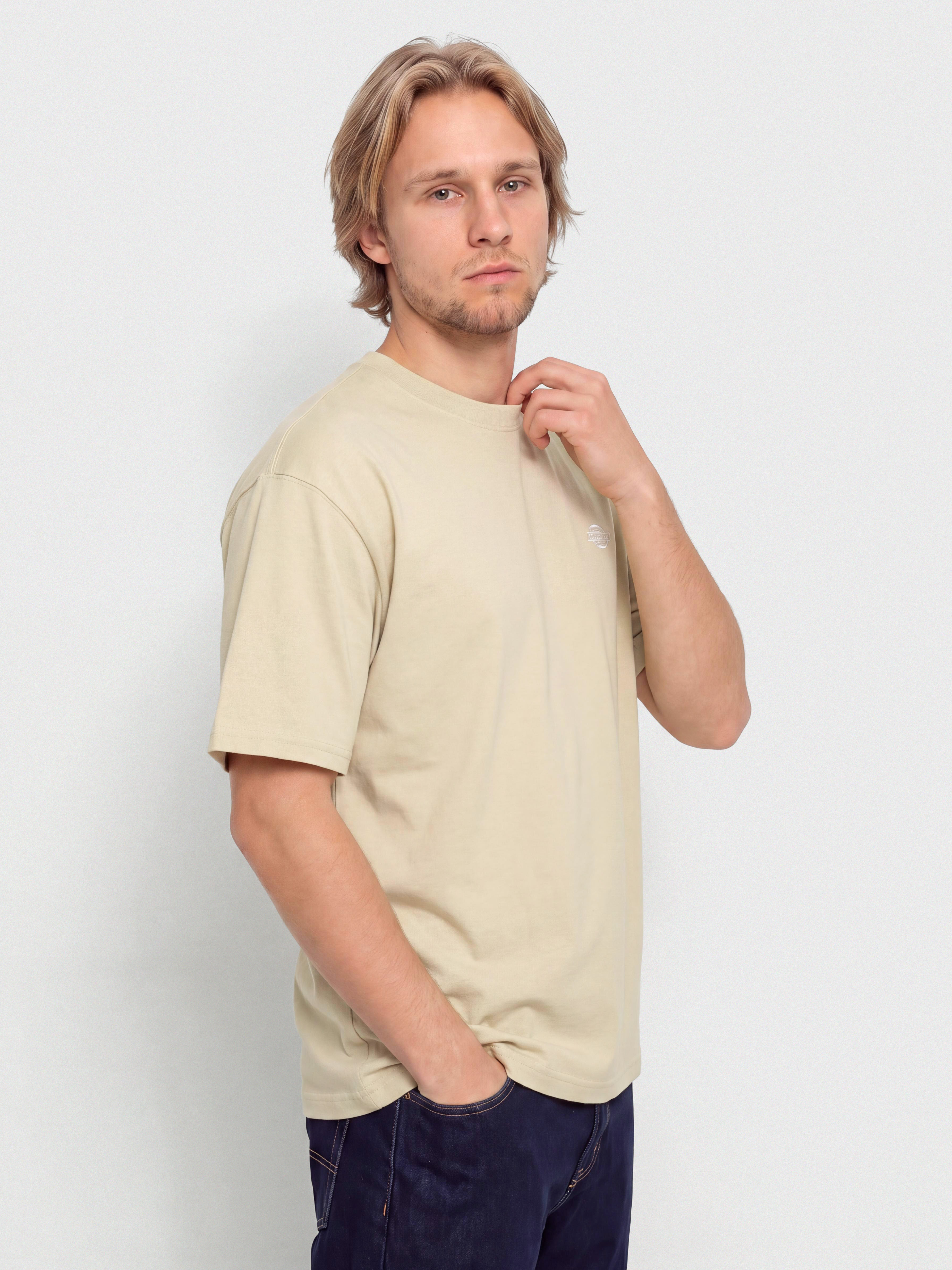 Tričko Dickies Summerdale (eucalyptus)