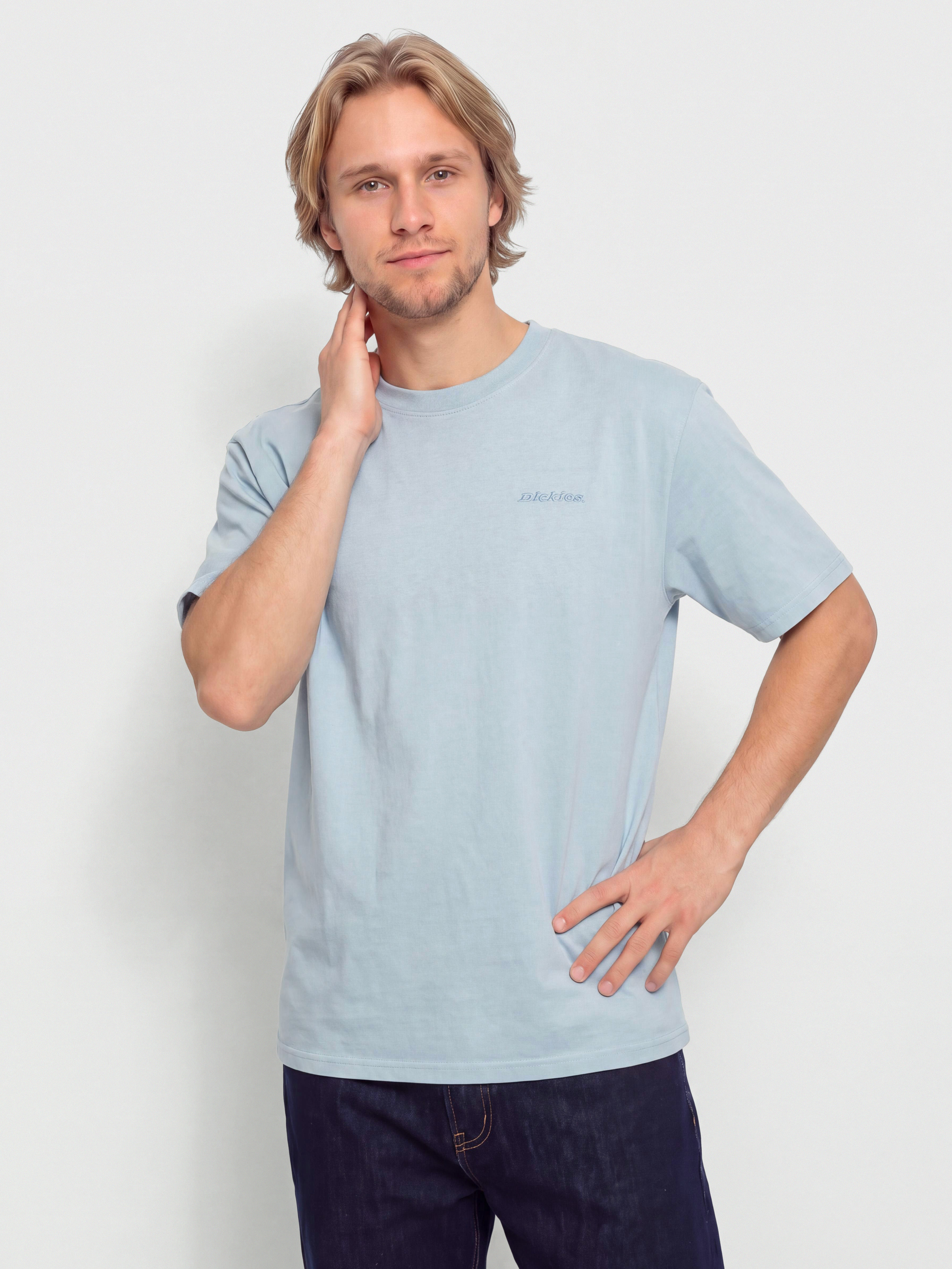 Triu010dko Dickies Plentywood (endless sky)