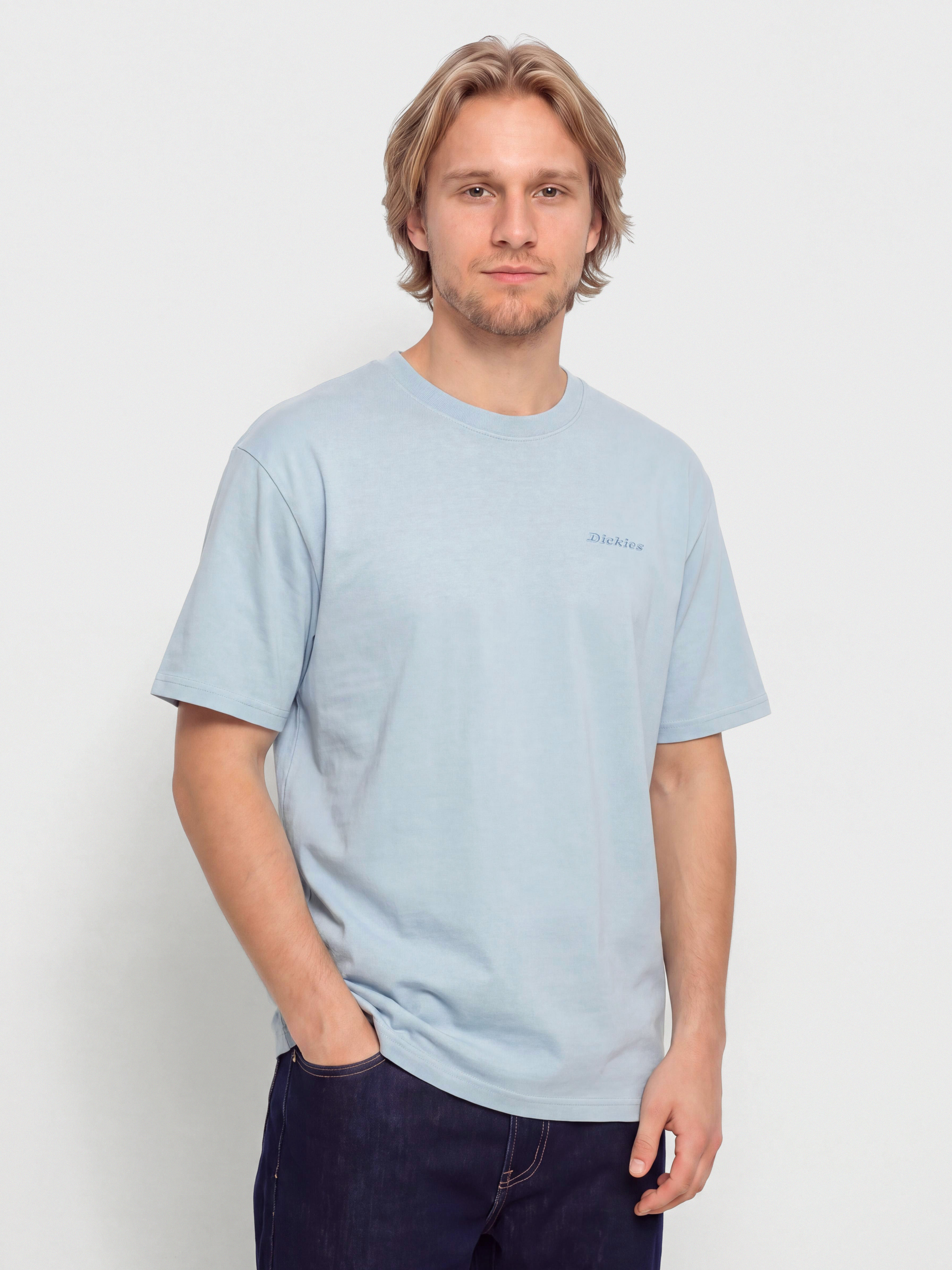 Tričko Dickies Plentywood (endless sky)