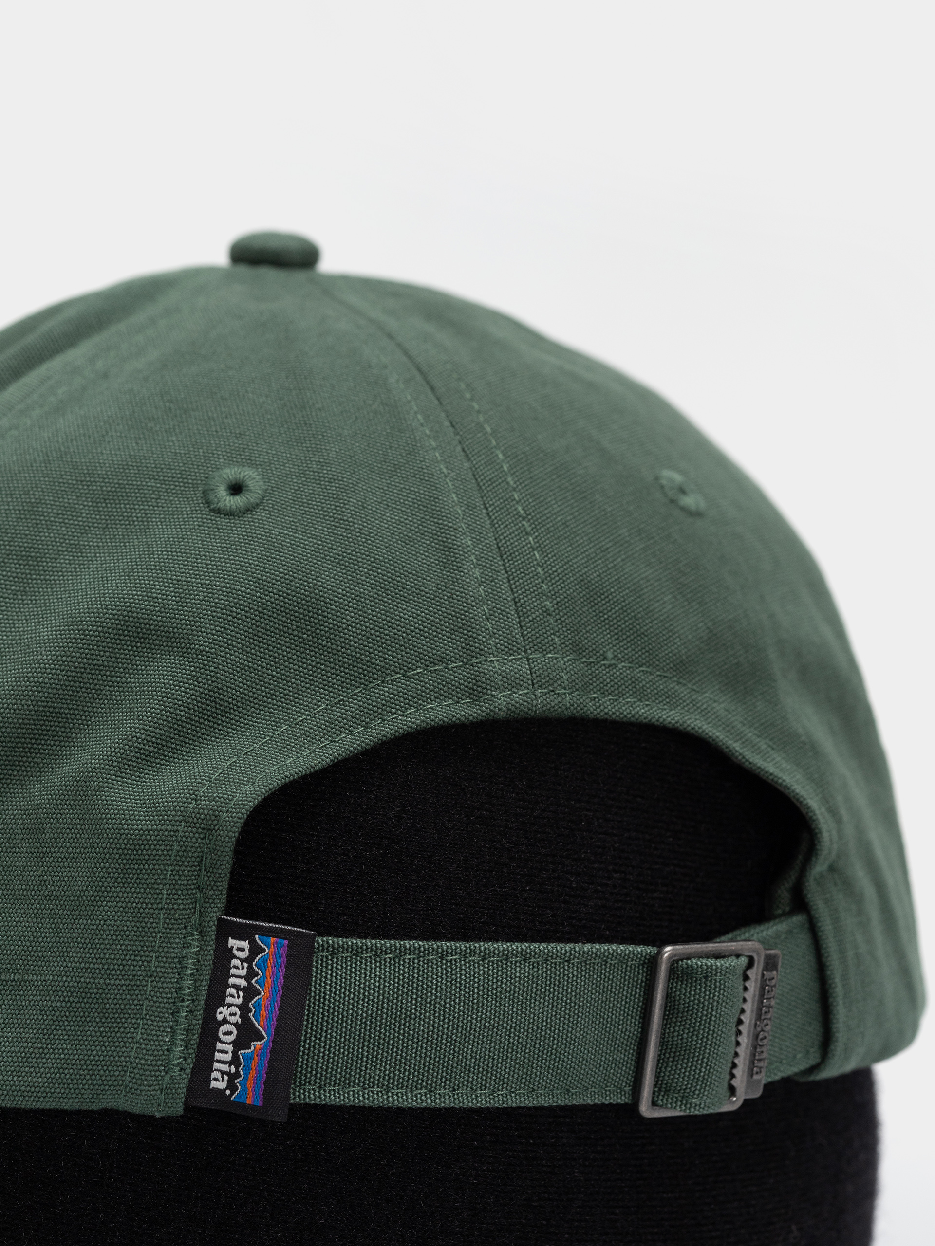 Kšiltovka  Patagonia P 6 Label Trad (canopy green)