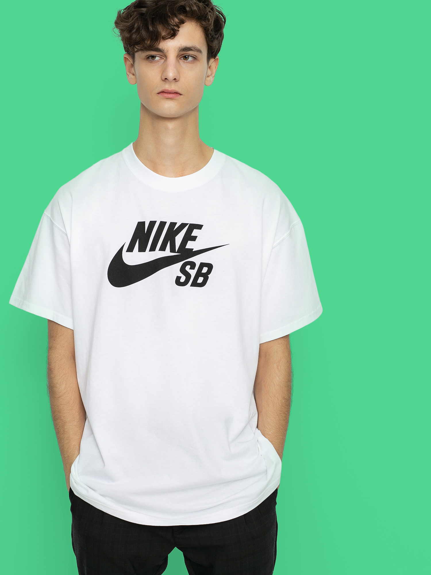 Triu010dko Nike SB Logo (white/black)