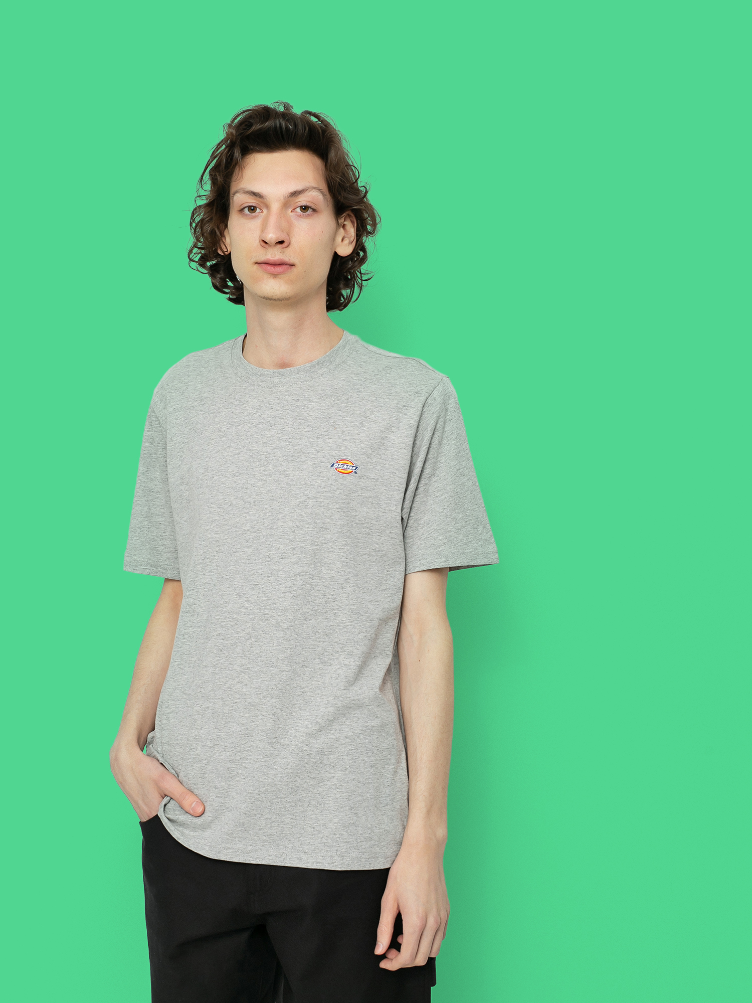 Triu010dko Dickies Mapleton (grey melange)