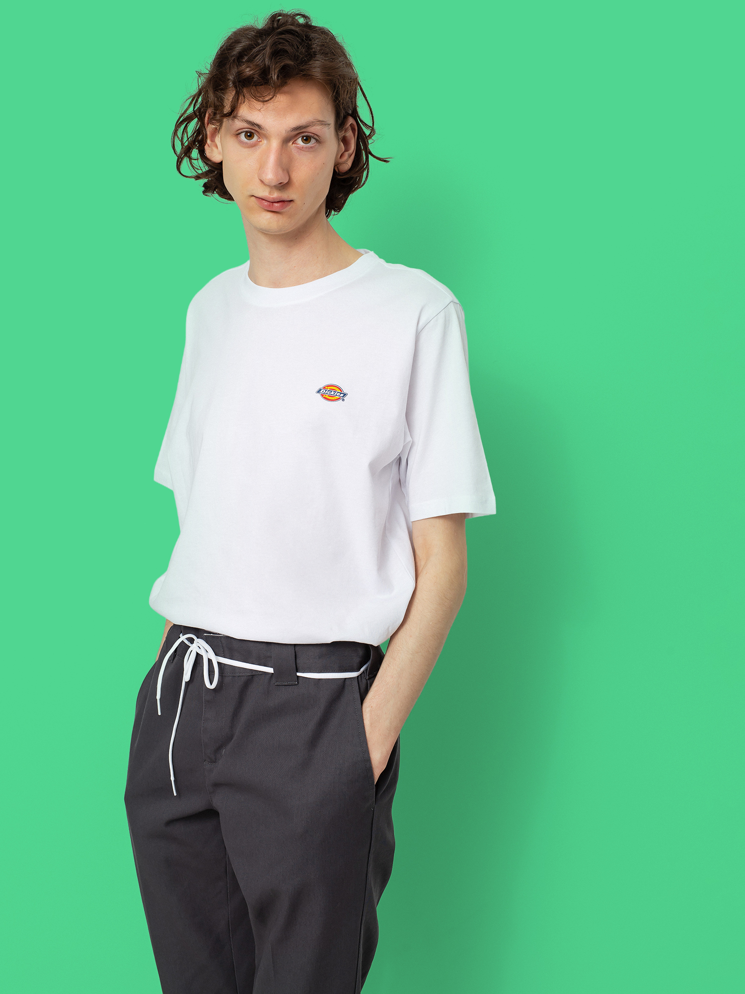 Tričko Dickies Mapleton (white)