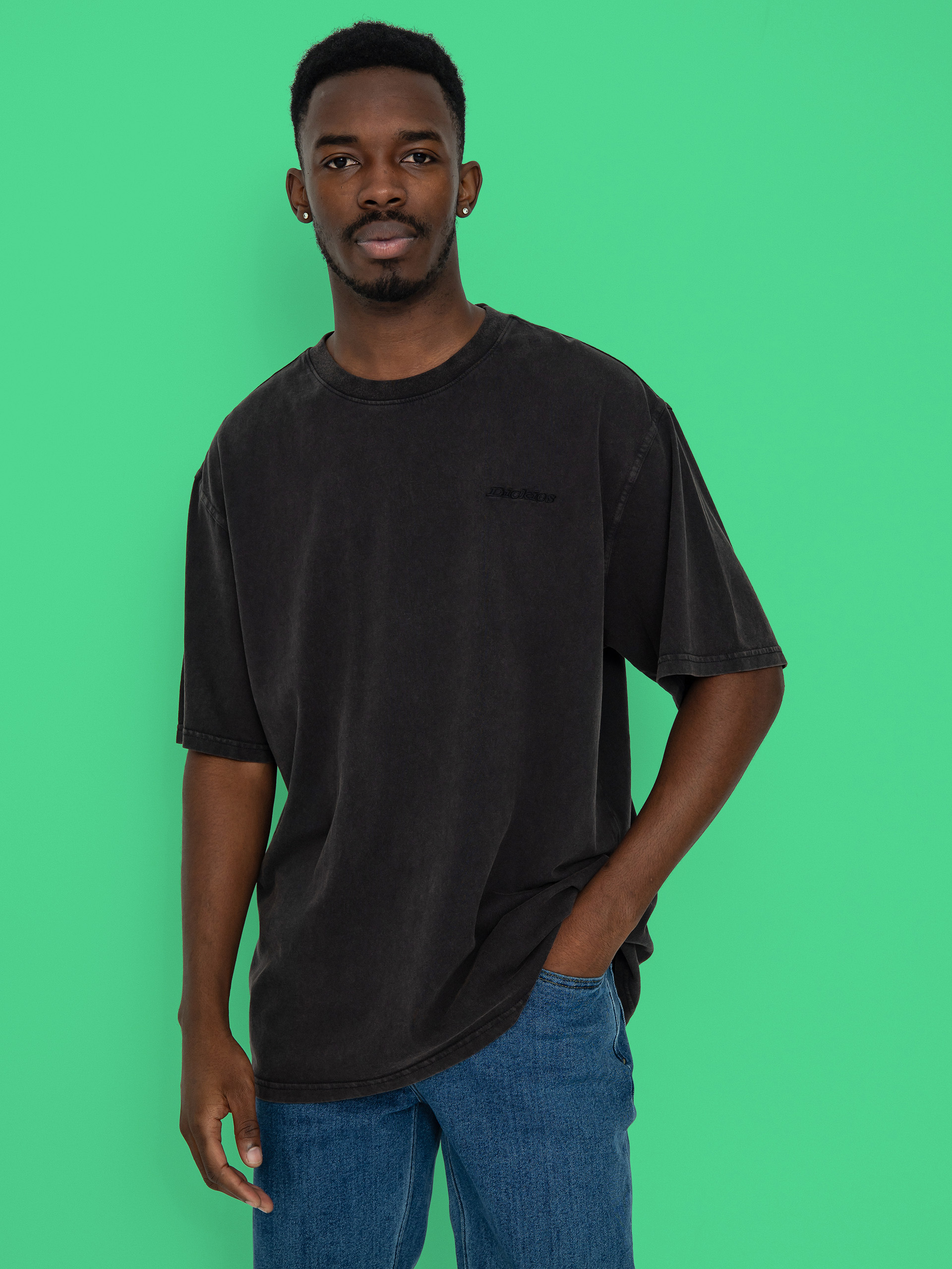 Triu010dko Dickies Plentywood (dble dye/acd bl)