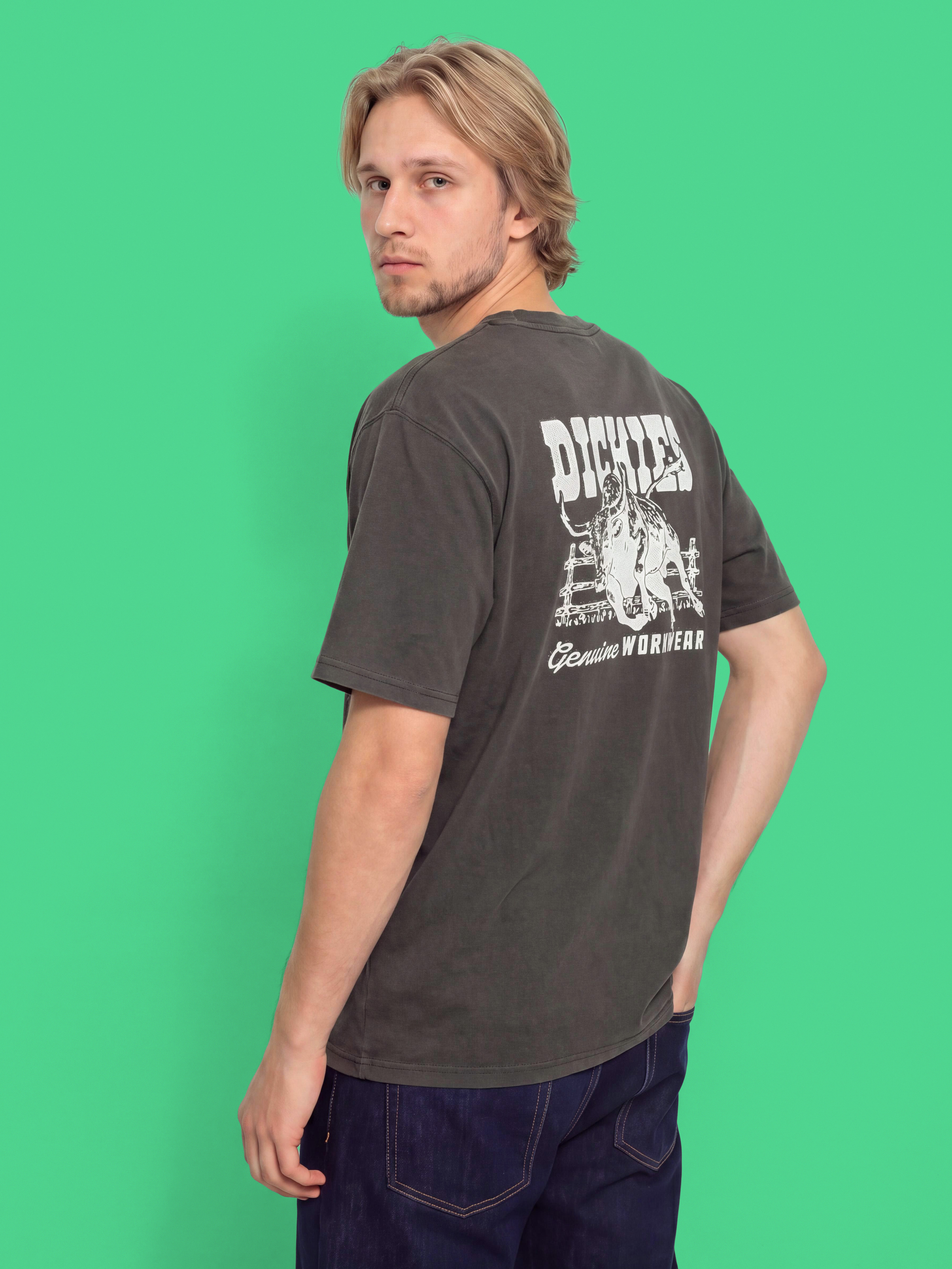 Tričko Dickies Buchtell (black)