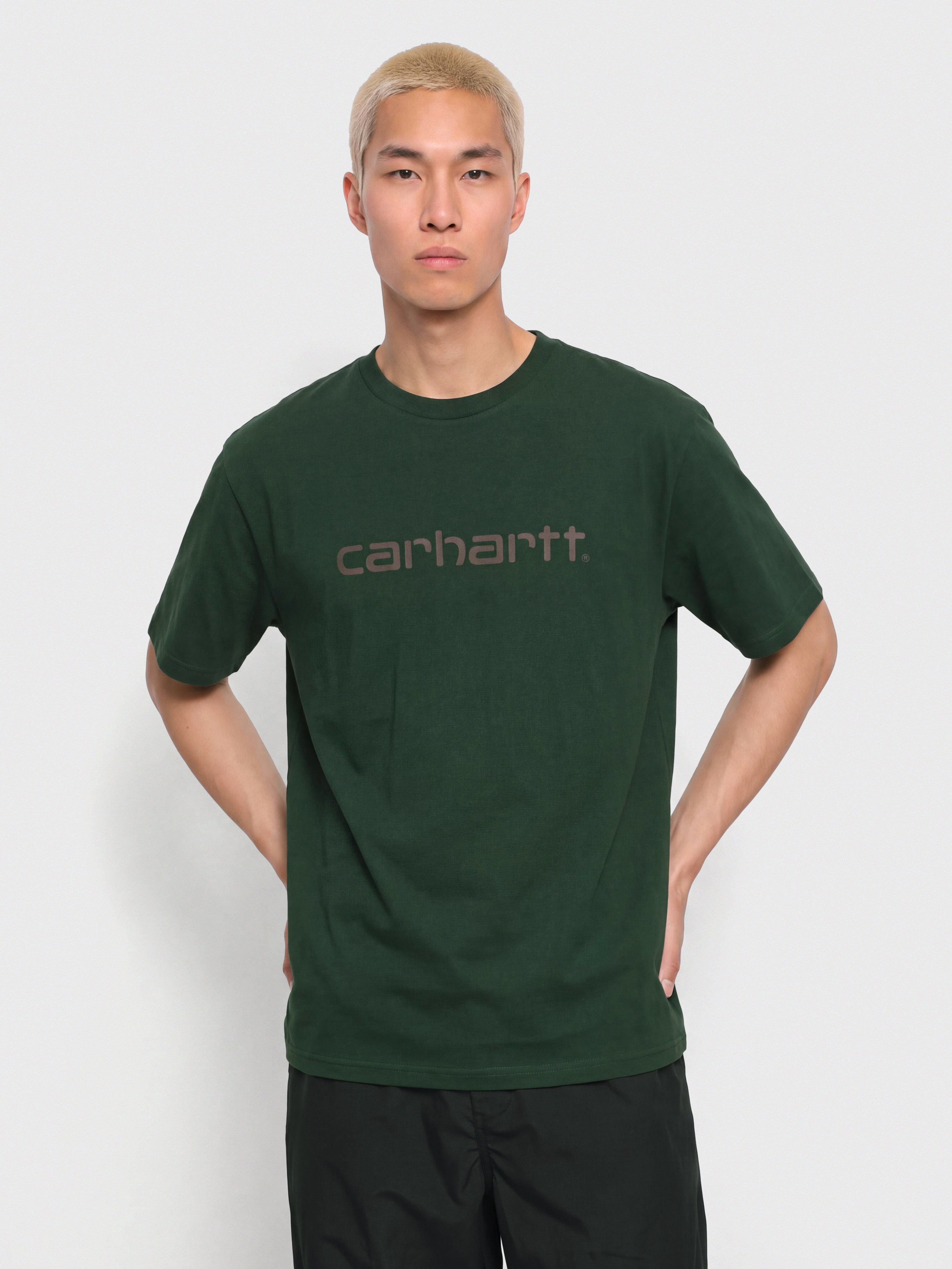 Tričko Carhartt WIP Script (dark scarab/palisander)