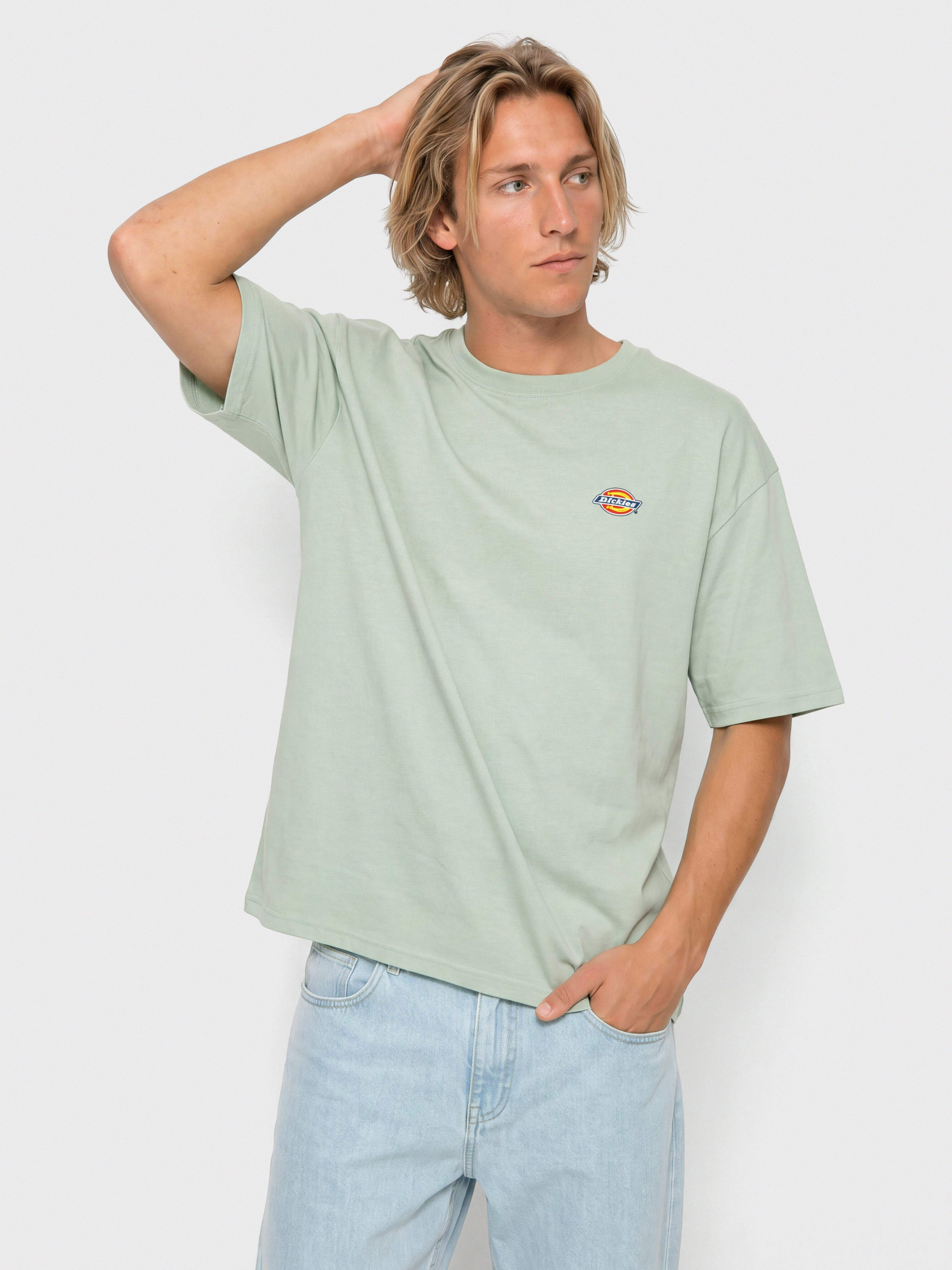 Tričko Dickies Mapleton