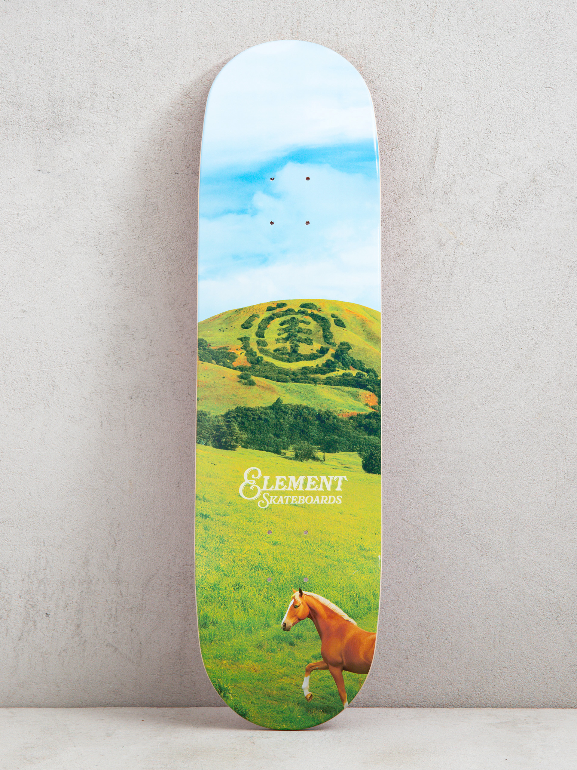 Deska Element Roam Free