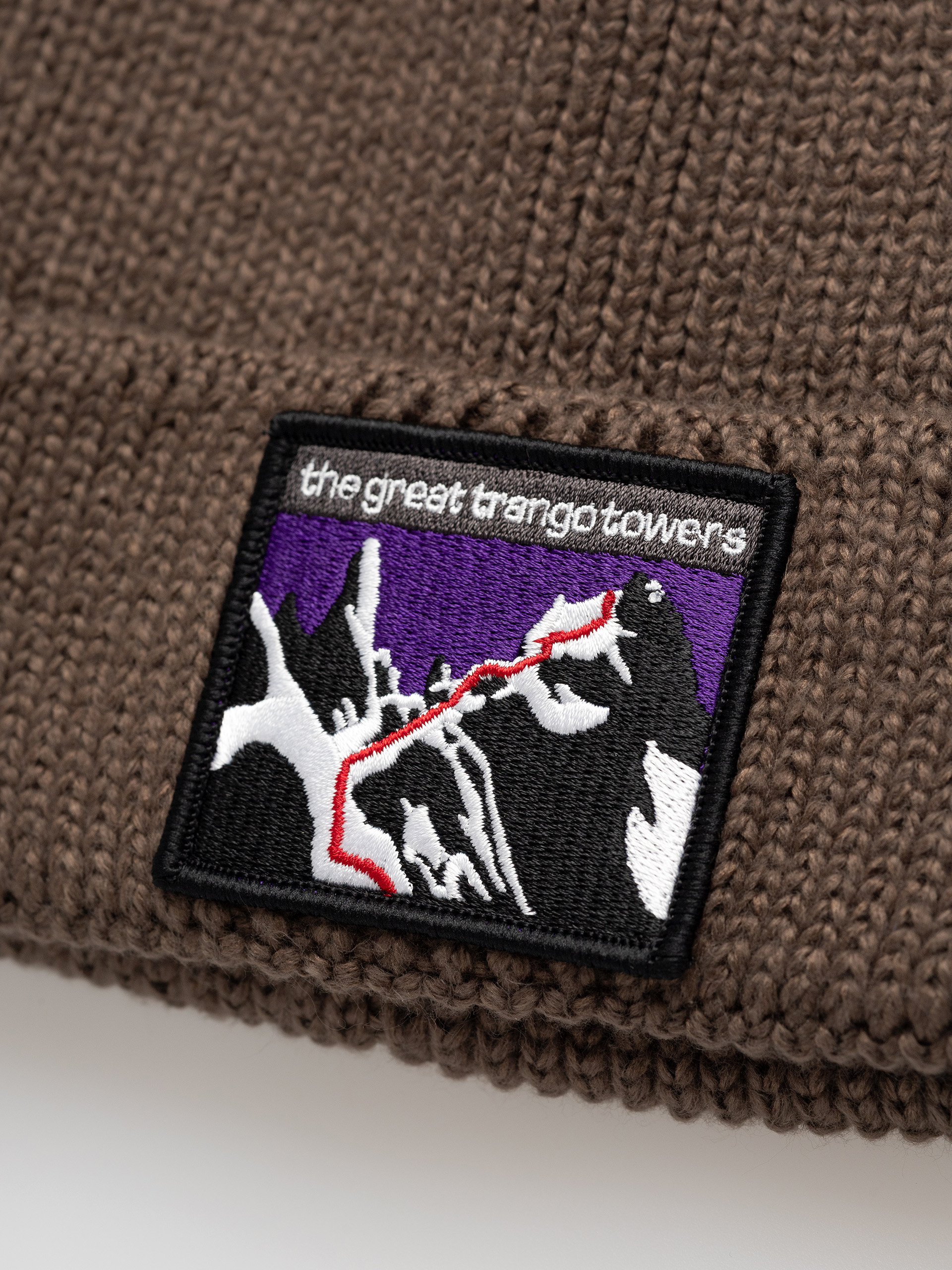 Čepice The North Face Tnf Logo Box Cuffed (smokey brown/expedition)