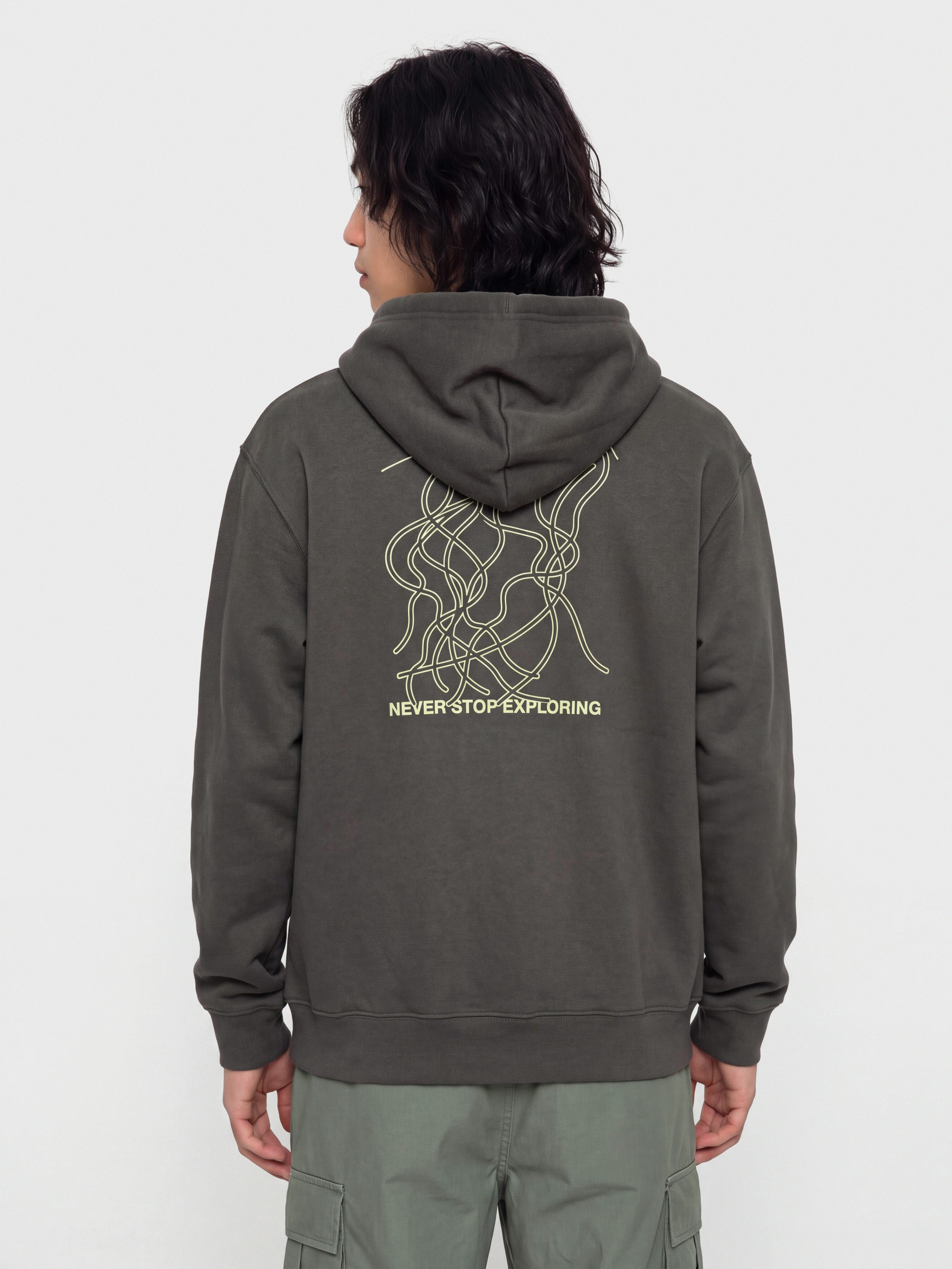 Mikina s kapucu00ed The North Face Nse Slopes Relaxed HD (anthracite grey)